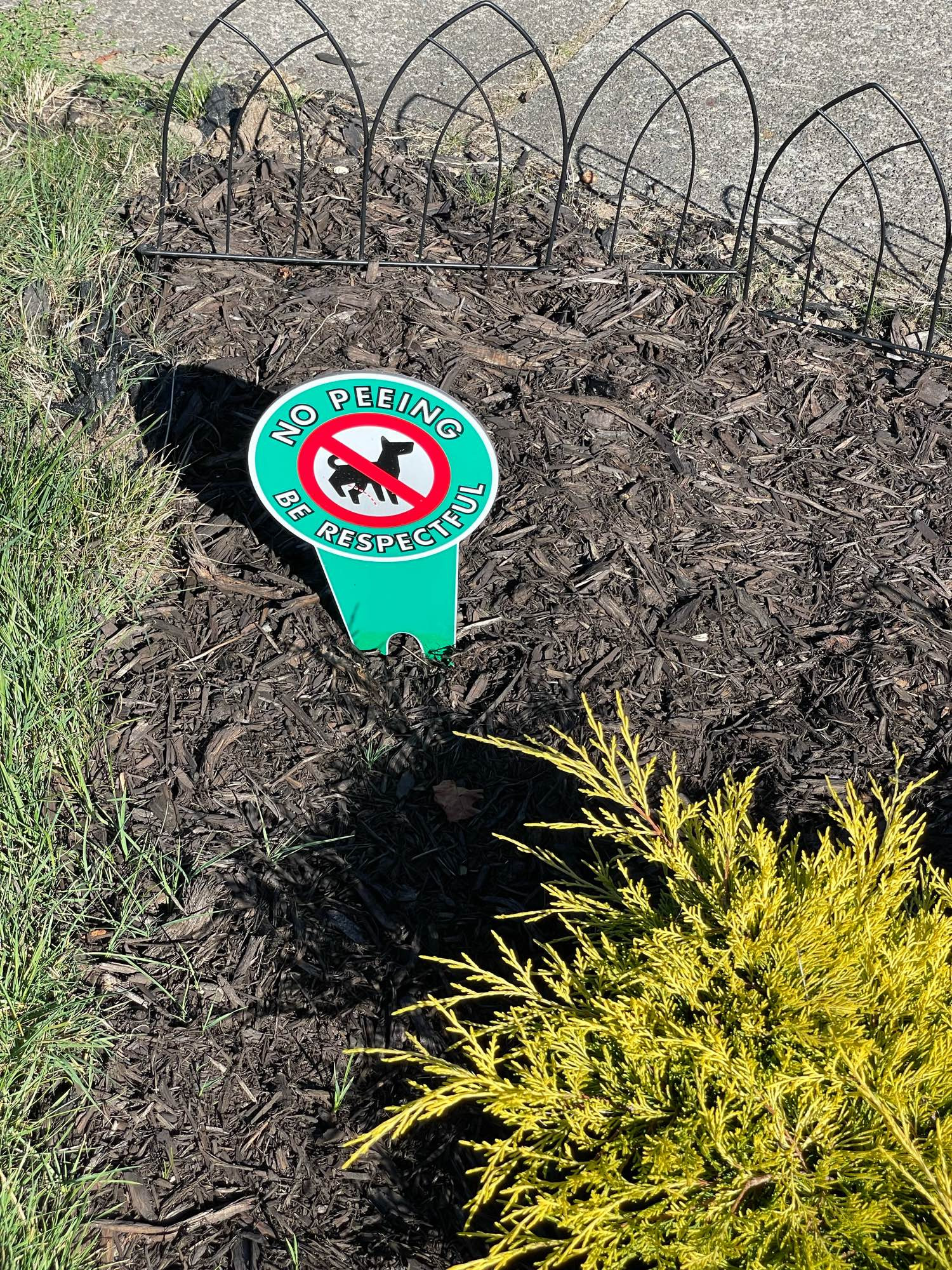 A sight with a dog peeing surrounded by a red “don’t” circle that reads “NO PEEING BE RESPECTFUL”