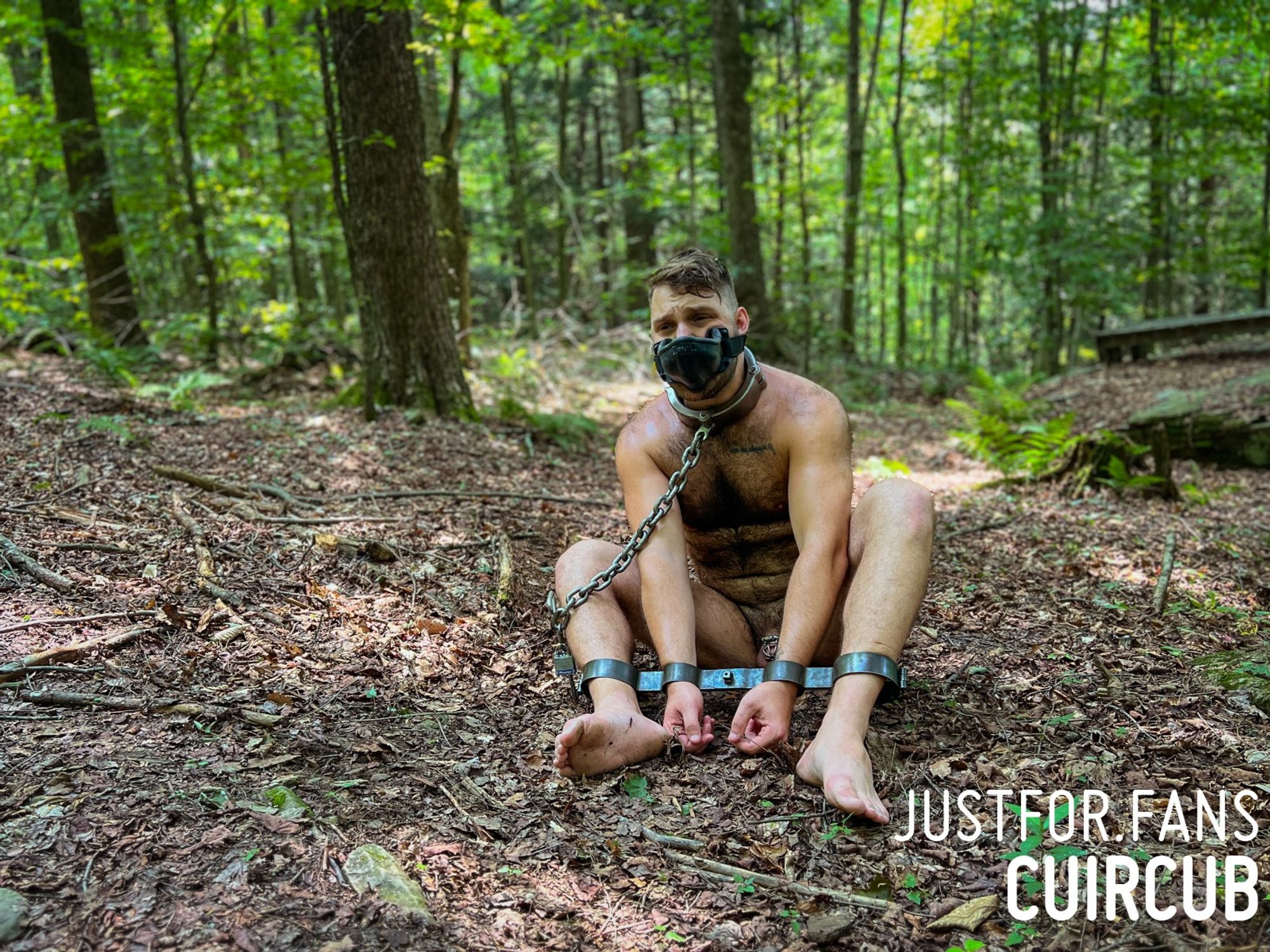 A photo of cuircub naked in the woods. He is sitting on the ground with his ankles and wrists strapped into a rigid steel restraint. There's a small steel chastity cage on his nub, and a heavy steel collar around his neck chained to a stake in the ground. A urinal gag is strapped to his face.

Photo from justfor.fans/cuircub