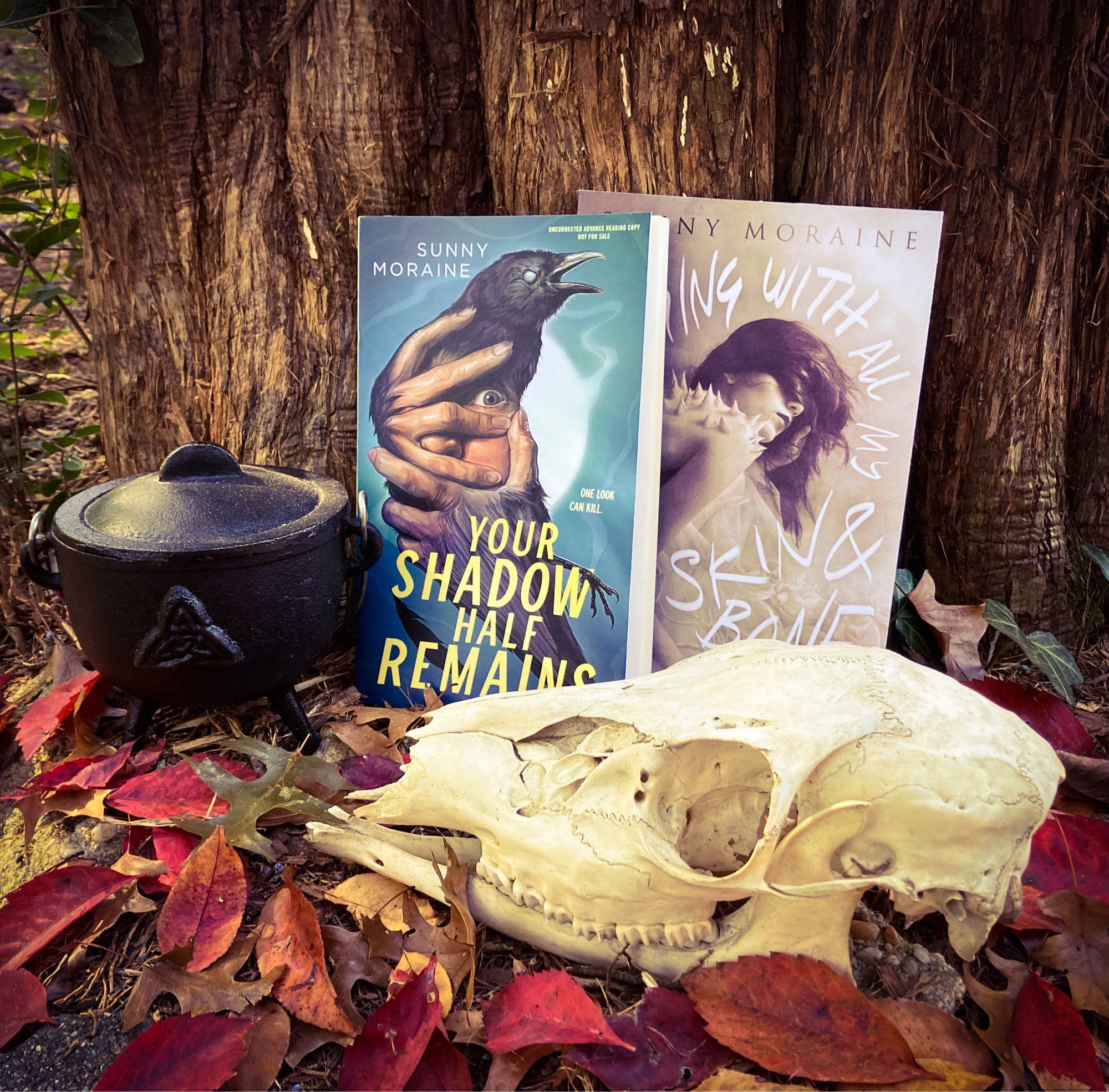 Copies of both books arranged against a red cedar tree, with autumn leaves, a little iron cauldron, and a deer skull.