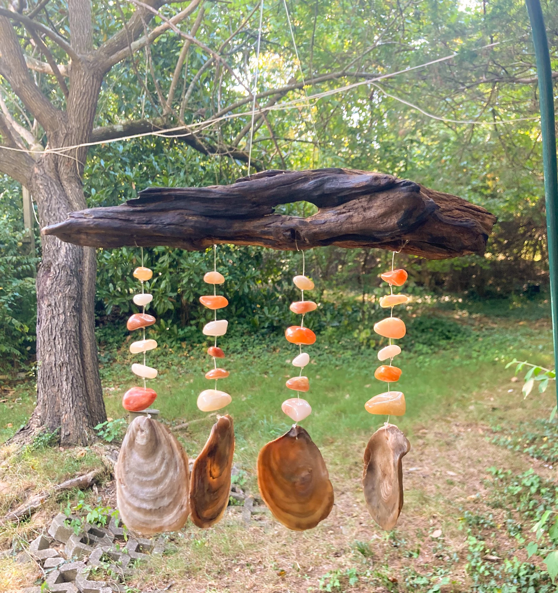 A wind chime made with driftwood, tumbled stones, and fossil mollusk shells, hanging in my yard.