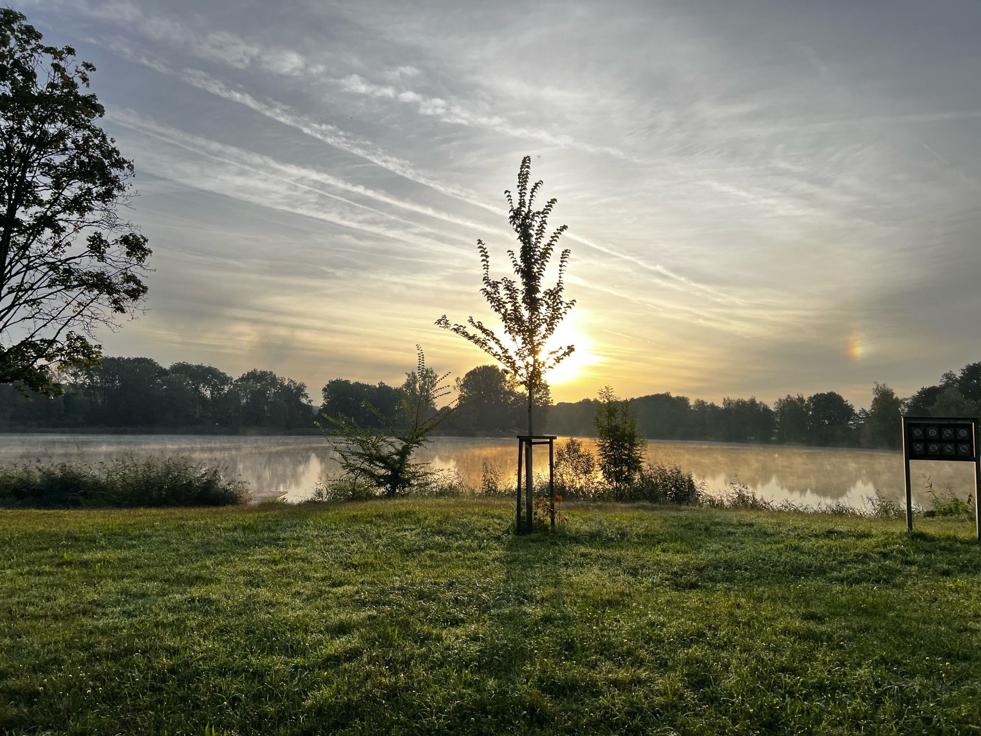 Man sieht einen einzelnen, jungen Baum in der Bildmitte. Dahinter liegt ein See, alles ist sehr grün und die Sonne steht golden leuchtend niedrig und geht gerade auf.