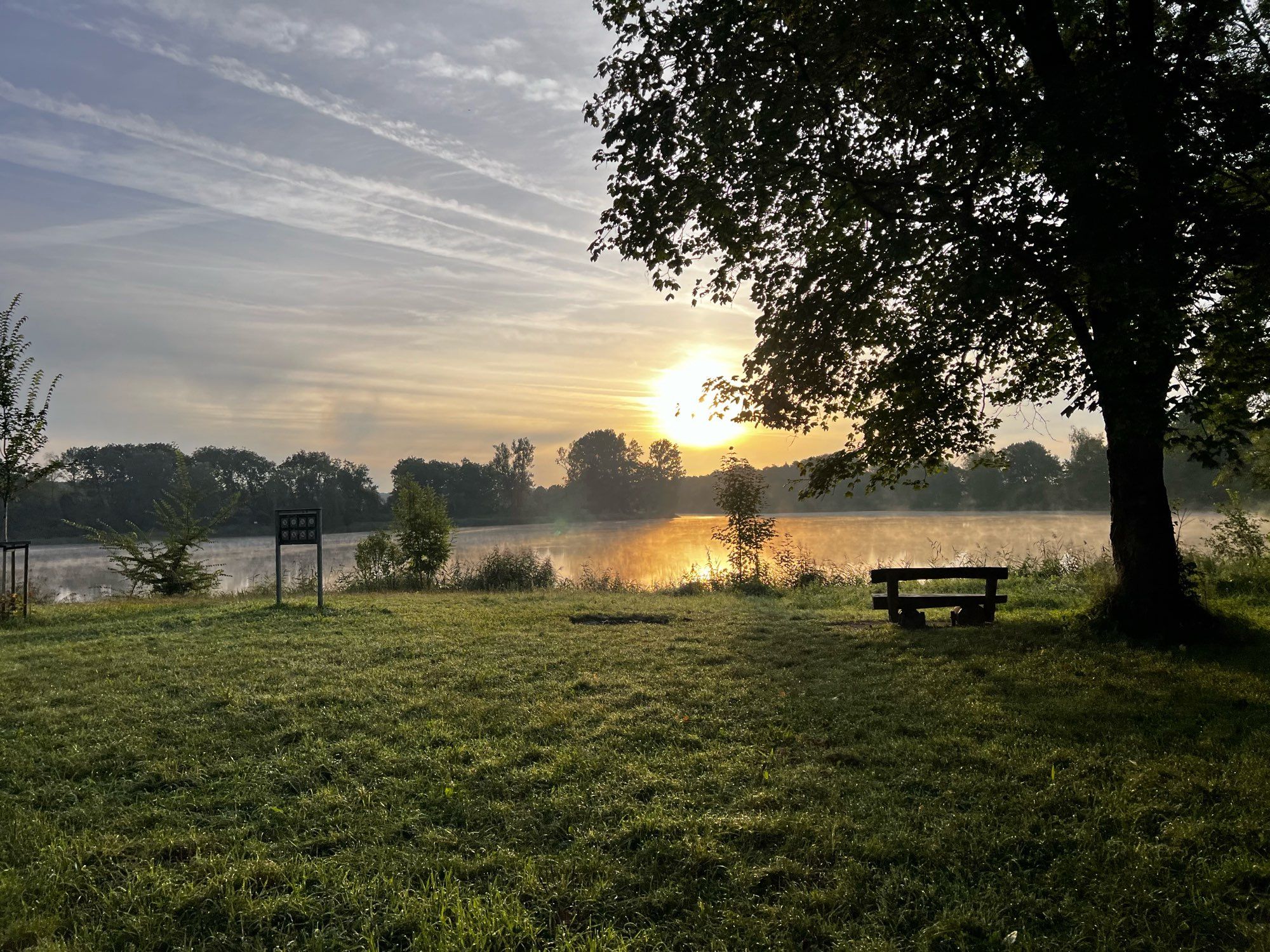 Im Hintergrund wieder der See und die tief stehende Sonne, rechts steht ein älterer Baum und eine einzelne Bank direkt am Ufer