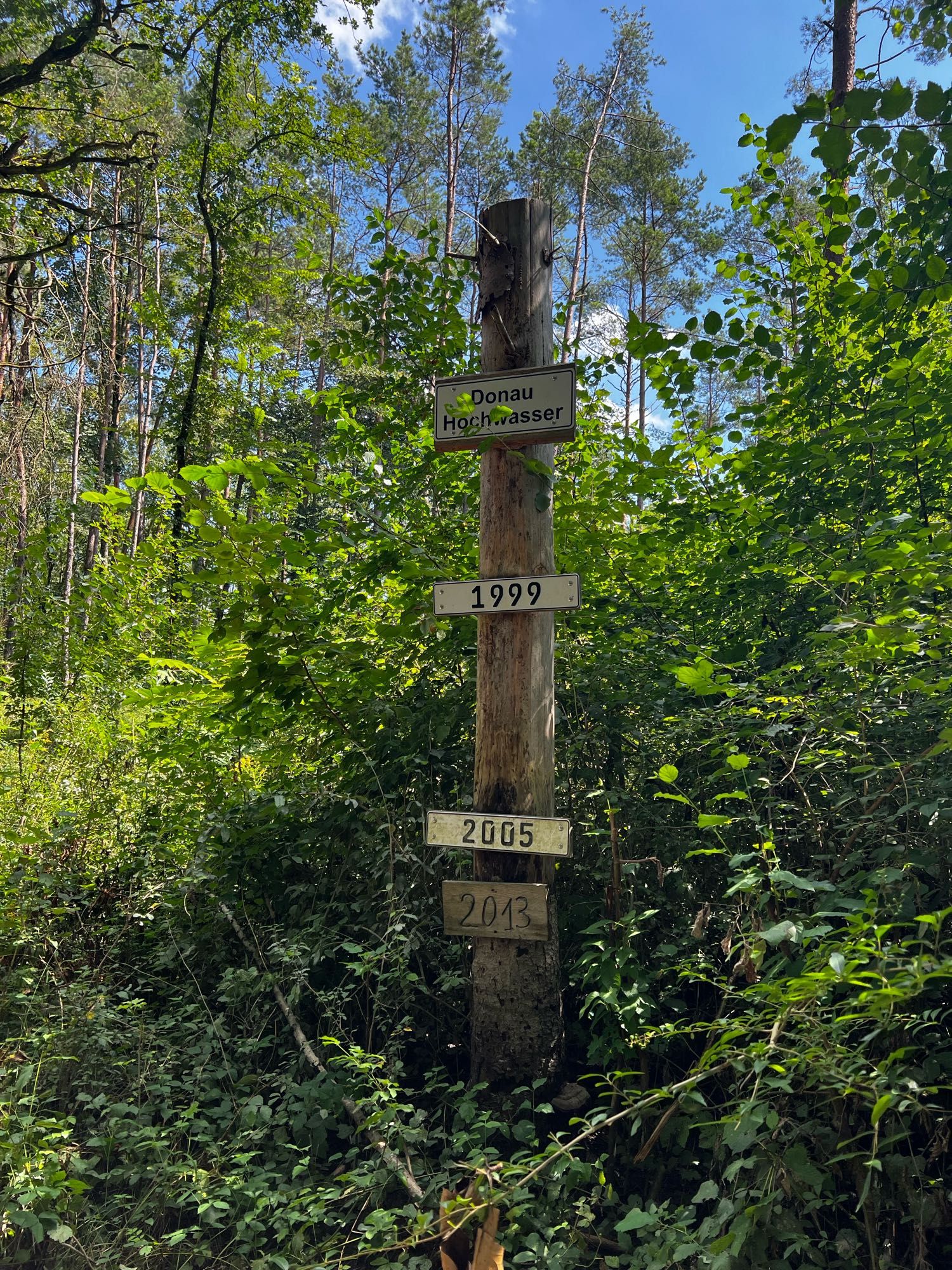 Eine Stehle mit angeschlagenen Schildern mit den Jahreszahlen der Donaustände bei Überschwemmungen. Ganz schön weit weg von der Donau.