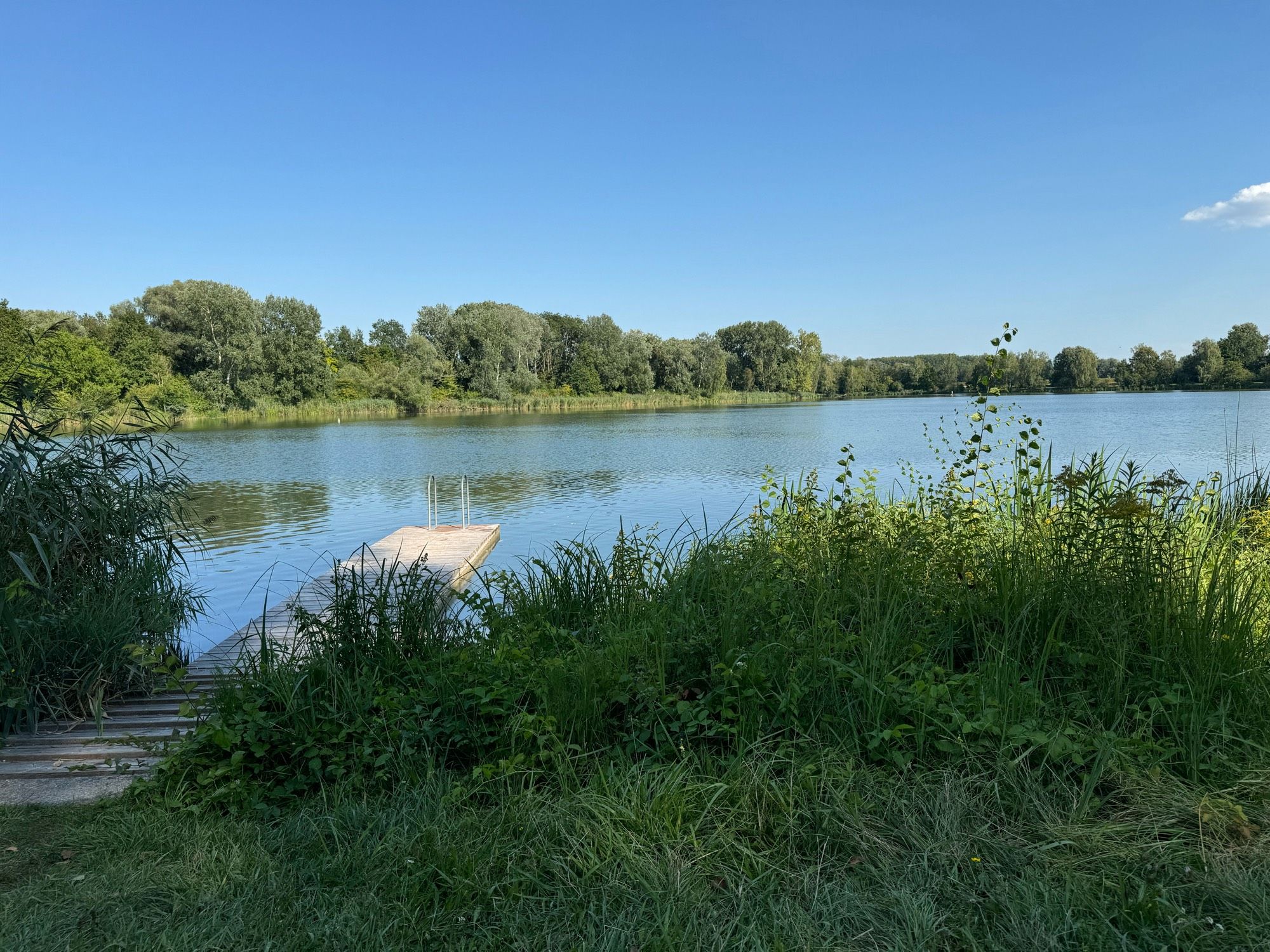 Ein Steg führt in den see