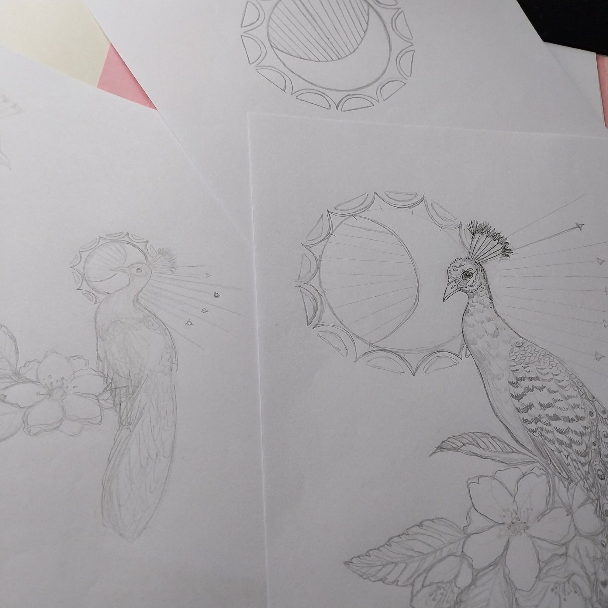 Sketches of peacock, flowers and mysterious symbol