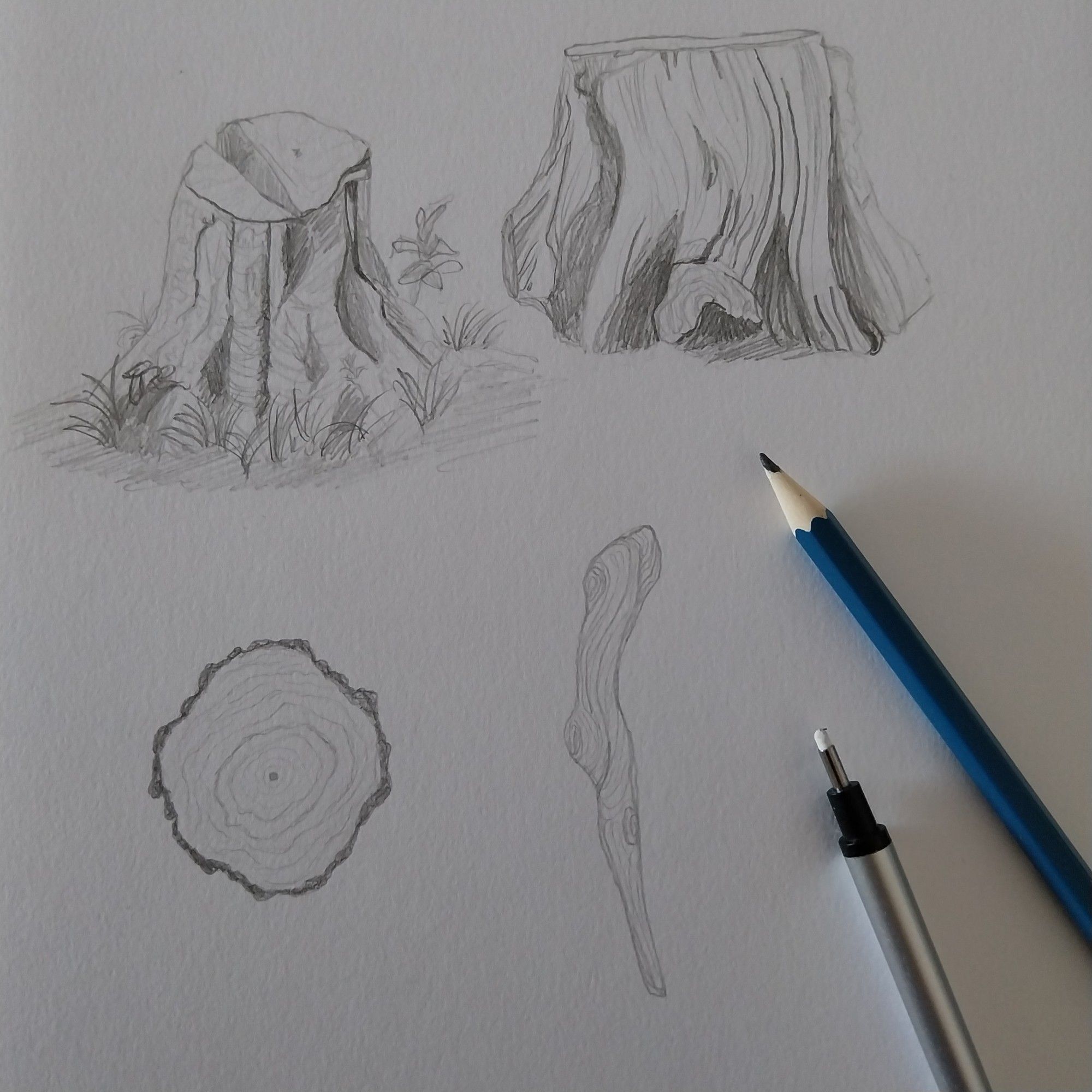 Sketcking, drawing of wood