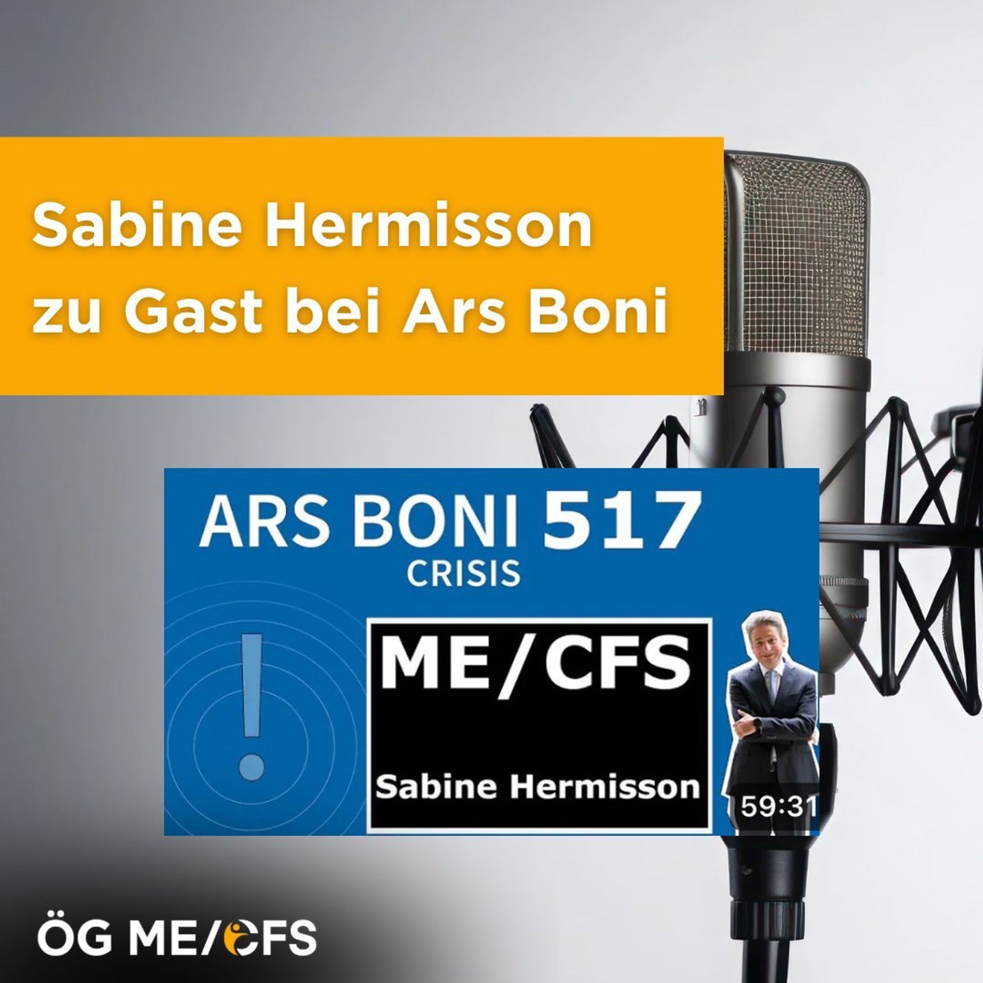 Sabine Hermisson zu Gast bei Ars Boni. Zu sehen ist der Thumbnail des Youtube Videos mit dem Titel: „Ars Boni 517. Crisis. ME/CFS. Sabine Hermisson.“ Im Thumbnail sieht man ein Foto von Nikolaus Forgó. Im Hintergrund ist ein Mikrofon zu sehen mit weißem Hintergrund.