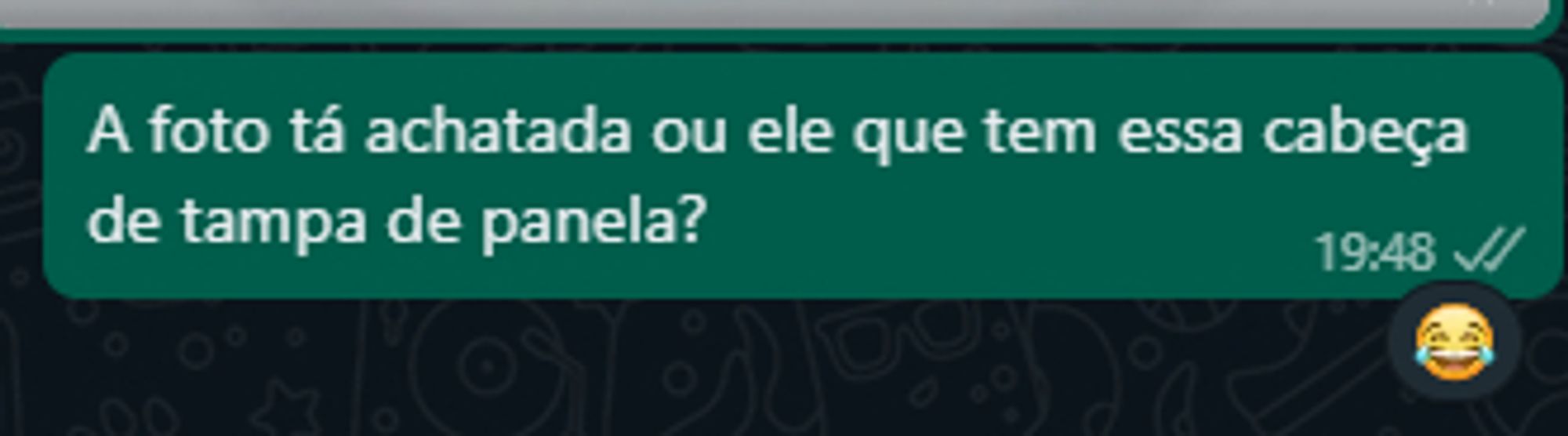 Print de uma mensagem de whatsapp que diz: A foto tá achatada ou ele que tem essa cabeça de tampa de panela?
A mensagem possui uma reação de risada.