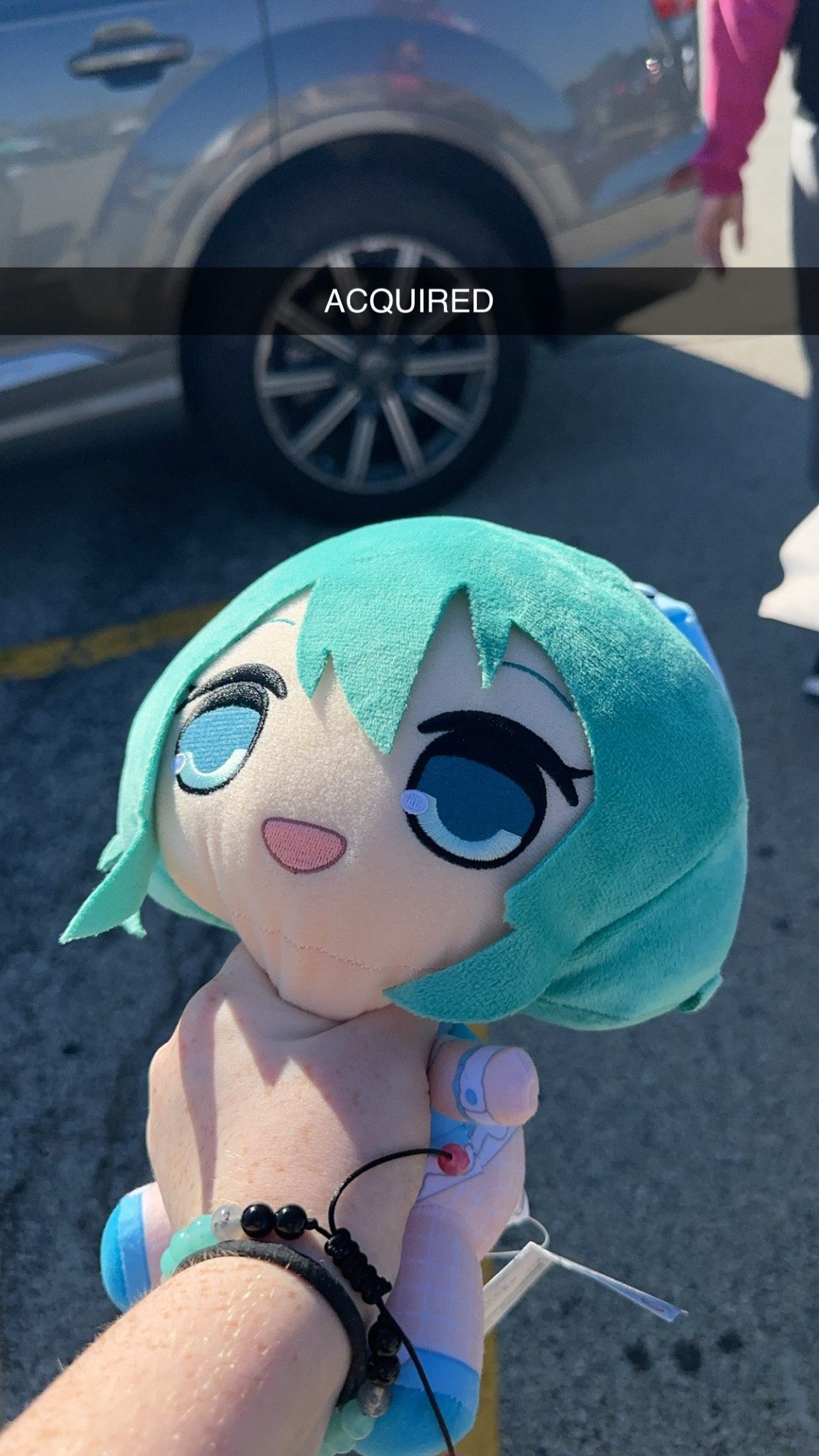 A plush of Hatsune Miku being gripped tightly by the neck. Text at the top of the image reads "ACQUIRED"