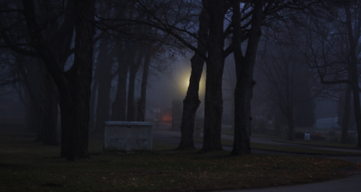 Dark cemetery with one light behind some trees