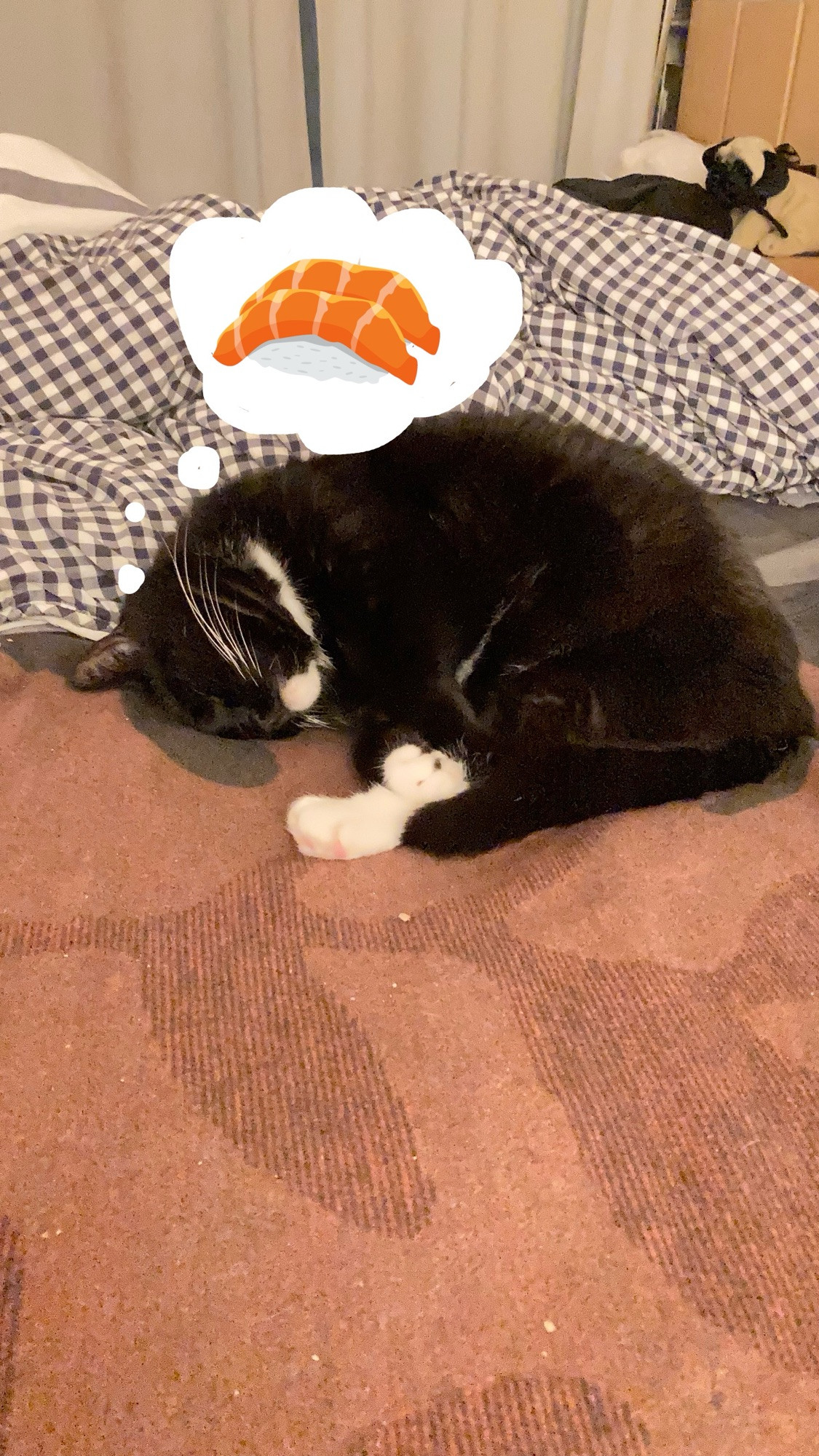 “Don’t wake me I’m having a good dream.“
Luna, the tuxedo cat sleeps on the bed. A thought bubble with two piece of Salmon Nigri is superimposed on the photo.