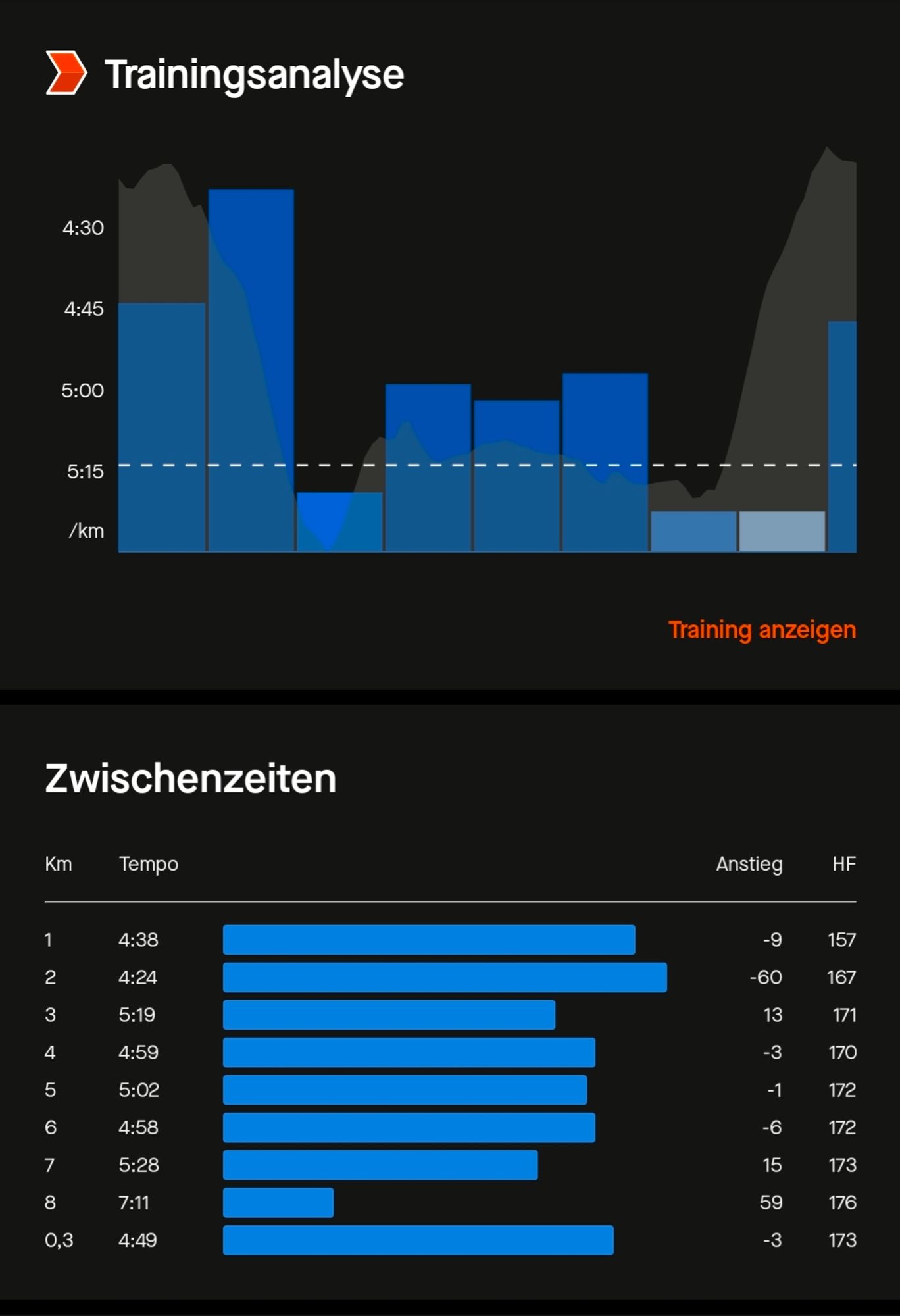 Strava Statistik