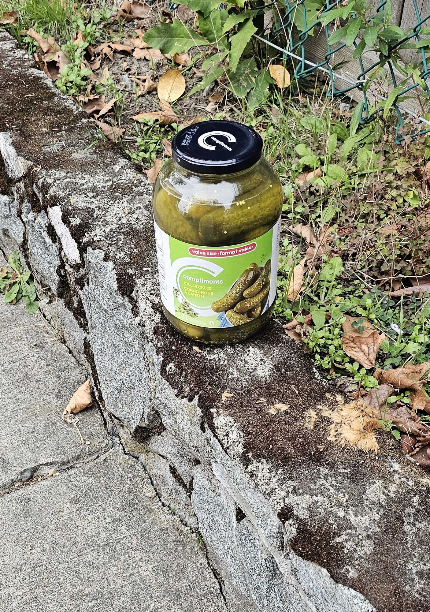 A 2 litre jar of unopened dill pickles sits on a rock wall next to a sidewalk, outside a grocery store.