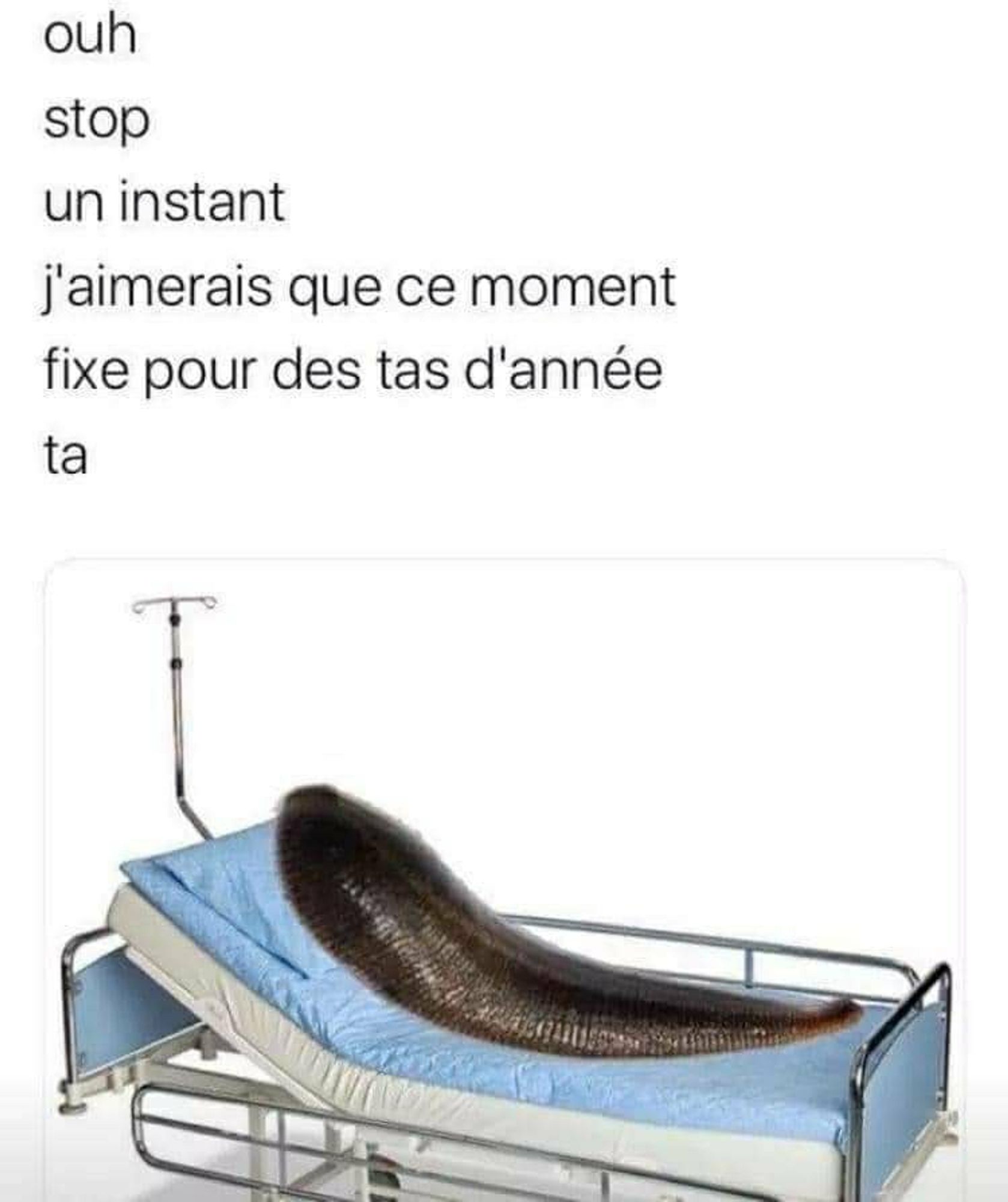 Une sangsue dans un lit d’hôpital avec au dessus le texte:

Ouh
Stop
Un instant 
J’aimerais que ce moment 
Fixe pour des tas d’années 
Ta....