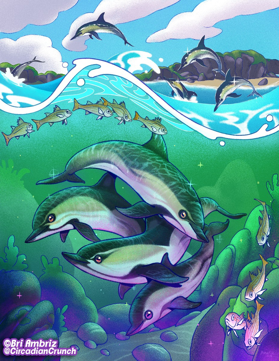 Illustration of a scene off the Pacific Coast. A pod of common dolphins is swimming in the foreground and jumping in the background and small Californian salema swim in single file around the top and right parts of the image.