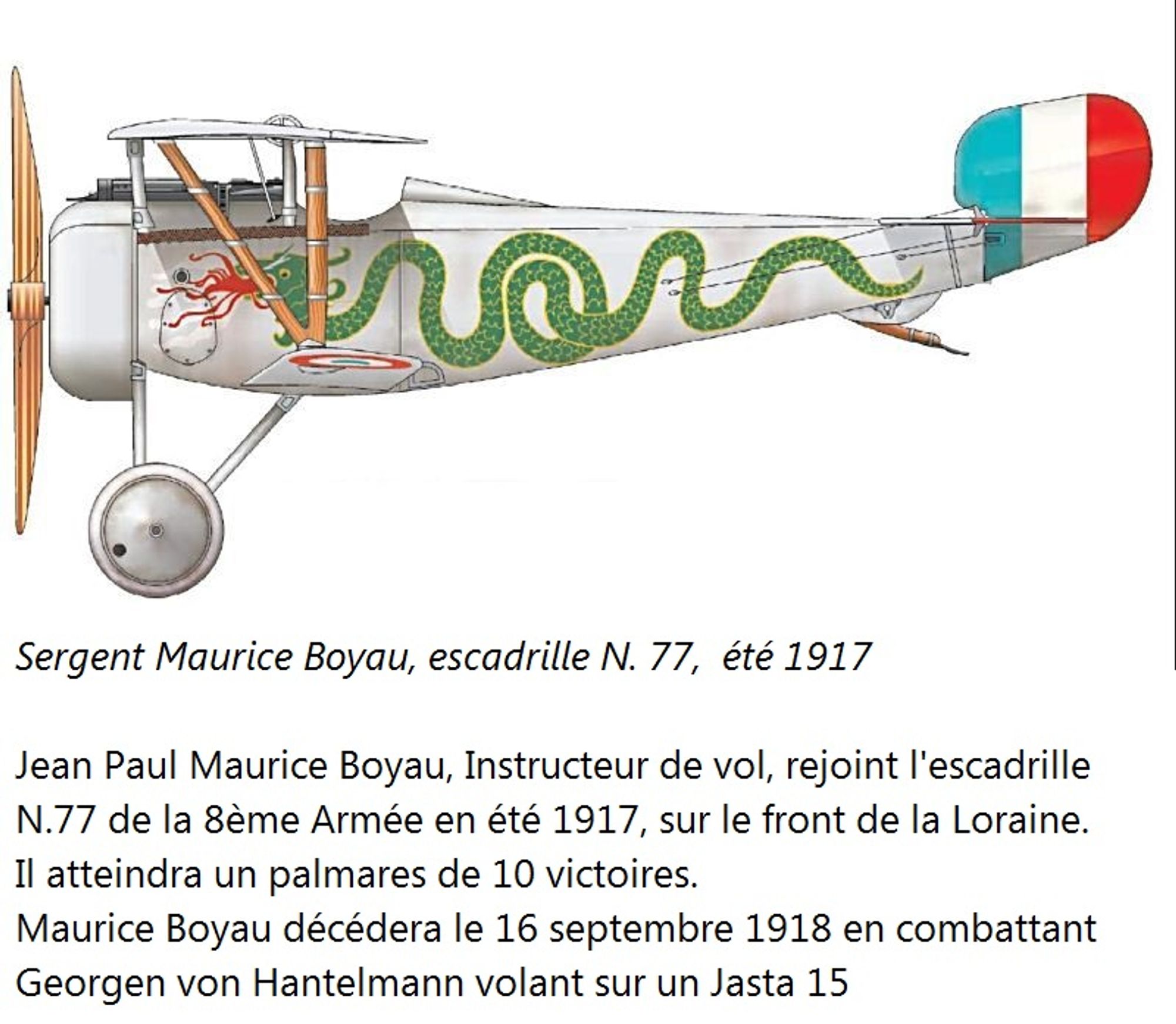 Boyau's Nieuport 17