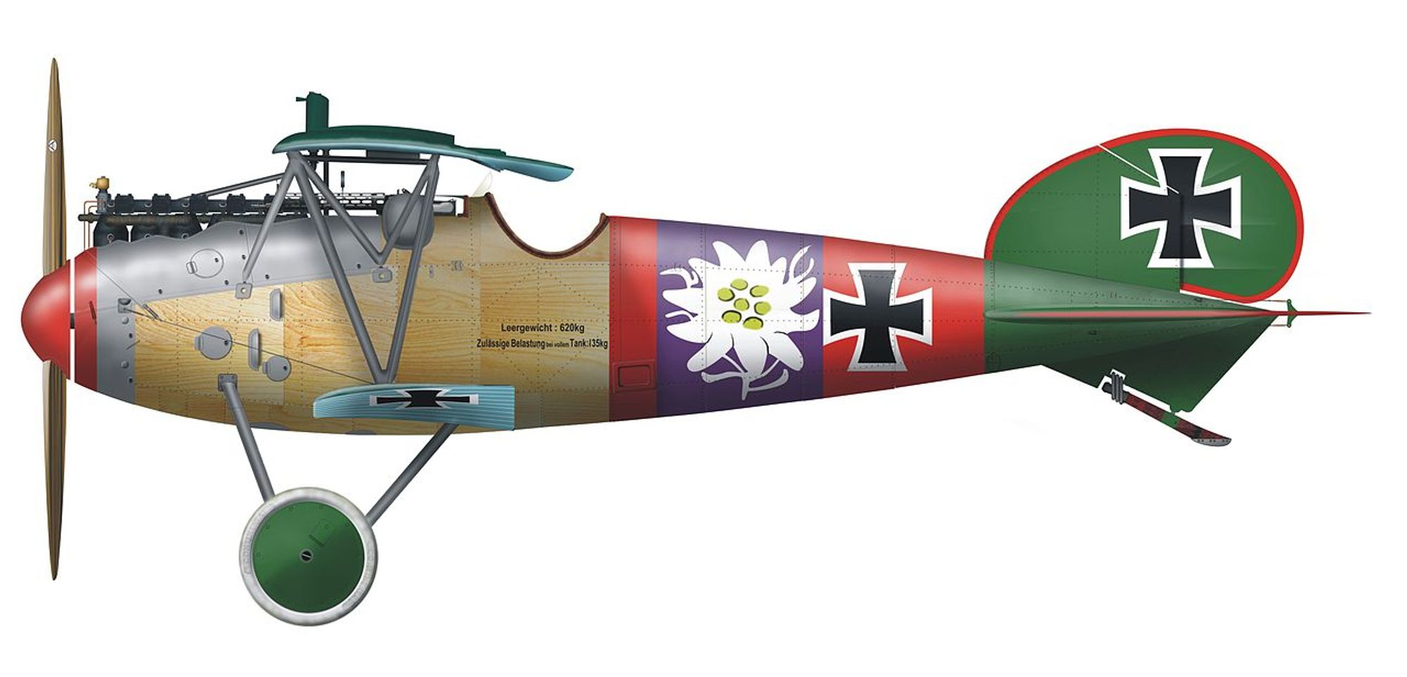 Baumer's Albatross D.V.