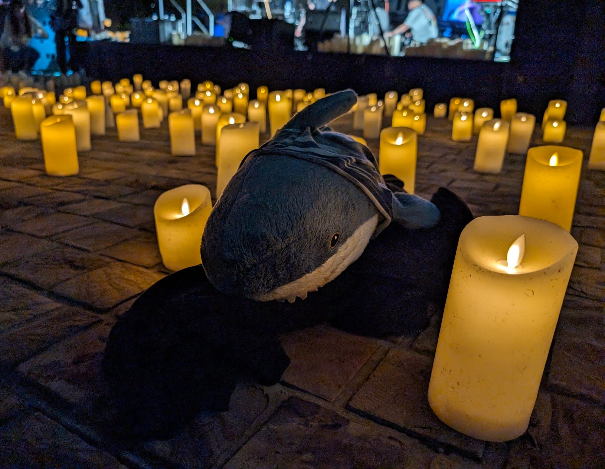 Smolhaj laying on some fabric on the ground surrounded by candles