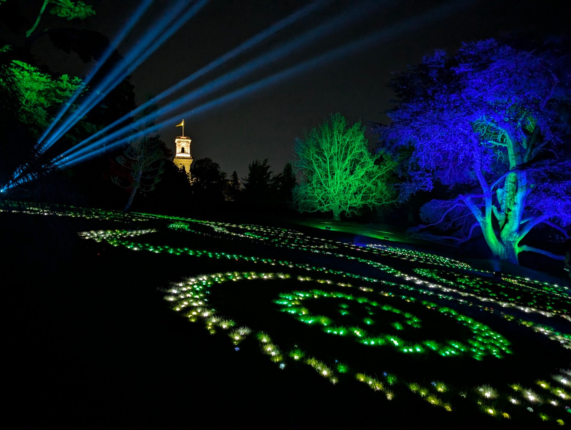 Small coloured lights arranged in swirls on a slope. Beams of light shine overhead. Victoria's Government House can be seen in the distance.