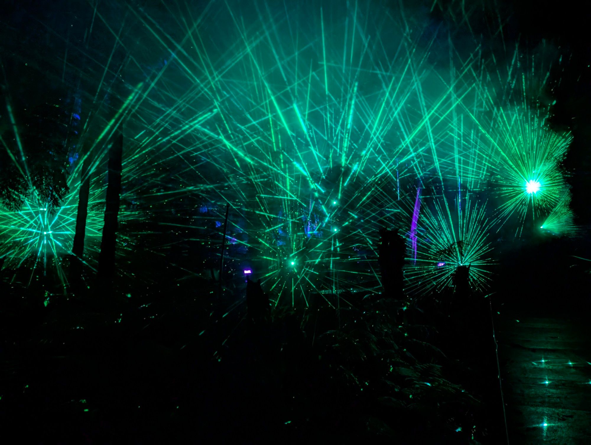 Forest with multiple green lasers shining through it