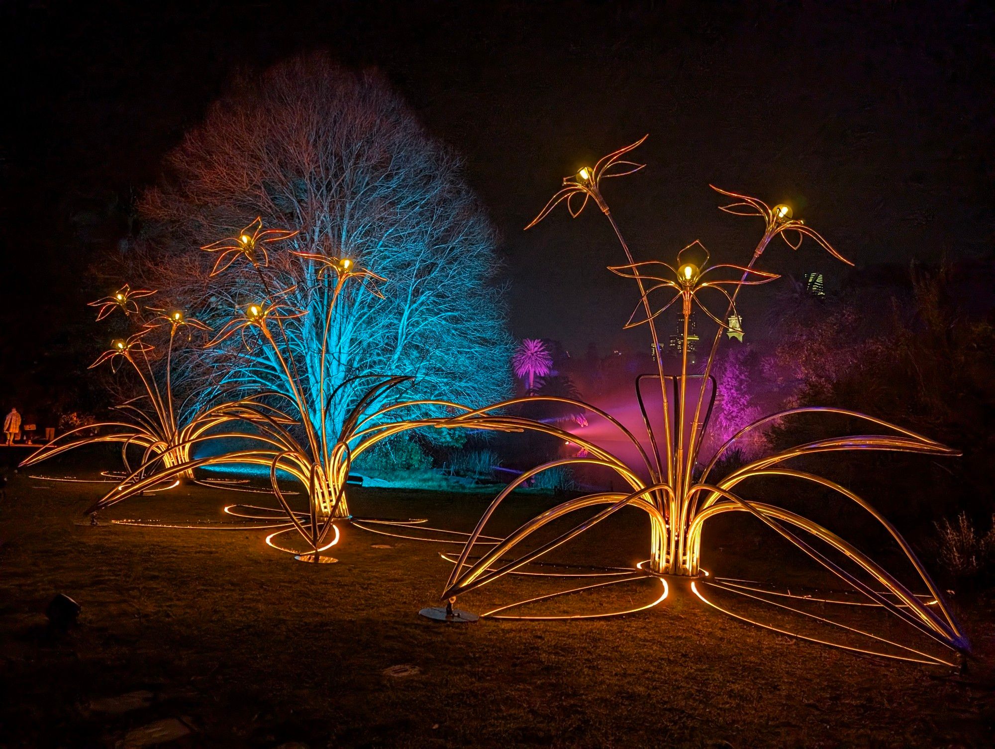 Three steel sculptures of lily flowers. The flowers are lit with a warm golden light