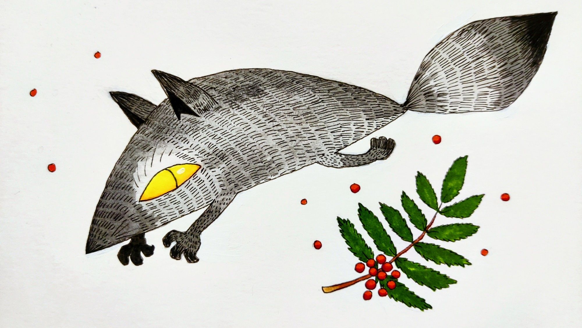 A photo of an ink drawing of a very stylized fox pouncing forward. The foxes full body is an elongated half circle and the fur texture is simple hatched lines. The fox is otherwise shades of grey and black ink washes but its big sharp oval eye with a thin slit pupil is yellow. Under the fox is a branch of a mountain-ash tree and the tree's reddish-orange berries are scattered around the fox.