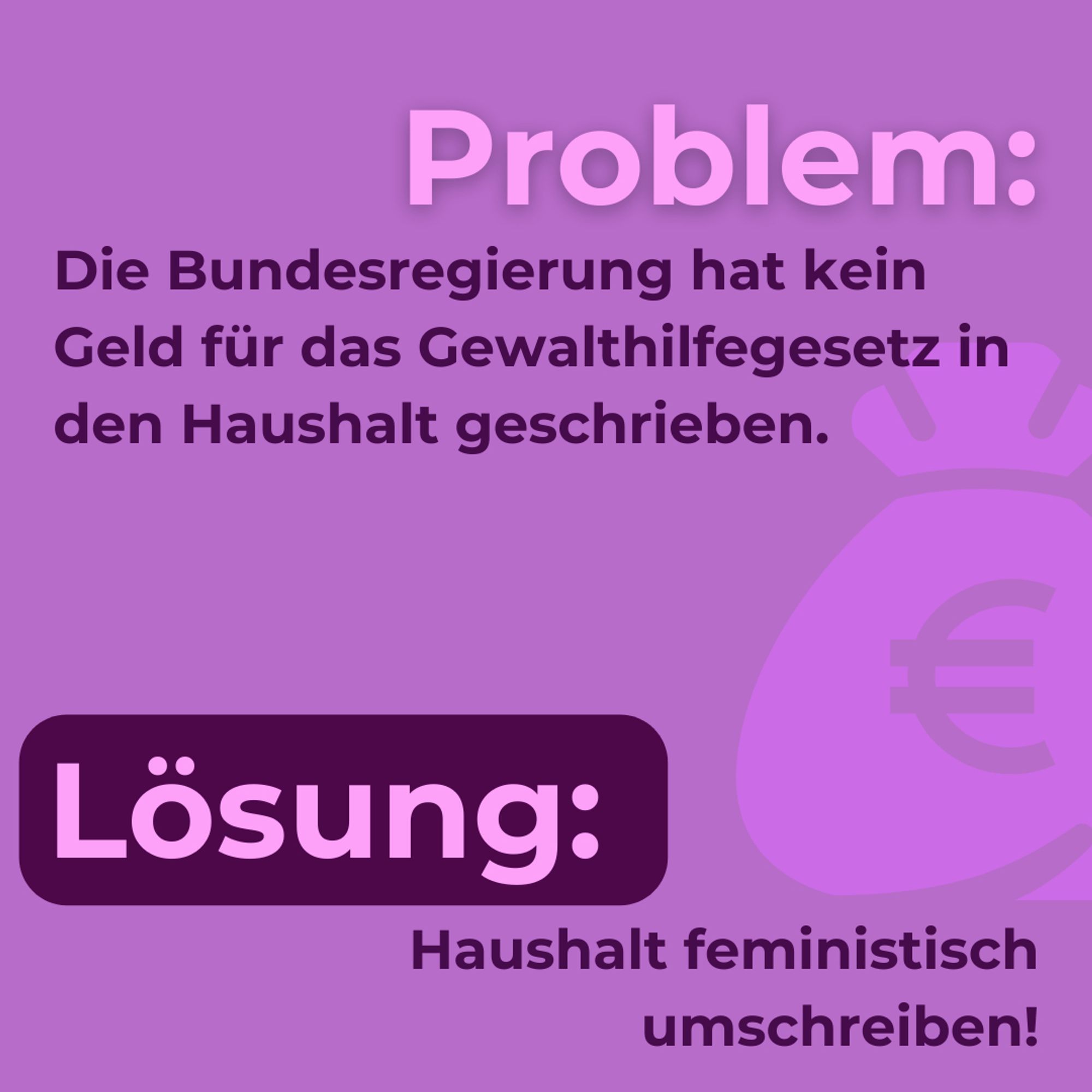 Problem: Die Bundesregierung hat kein Geld für das Gewalthilfegesetz in den Haushalt geschrieben.
Lösung: Haushalt feministisch umschreiben!