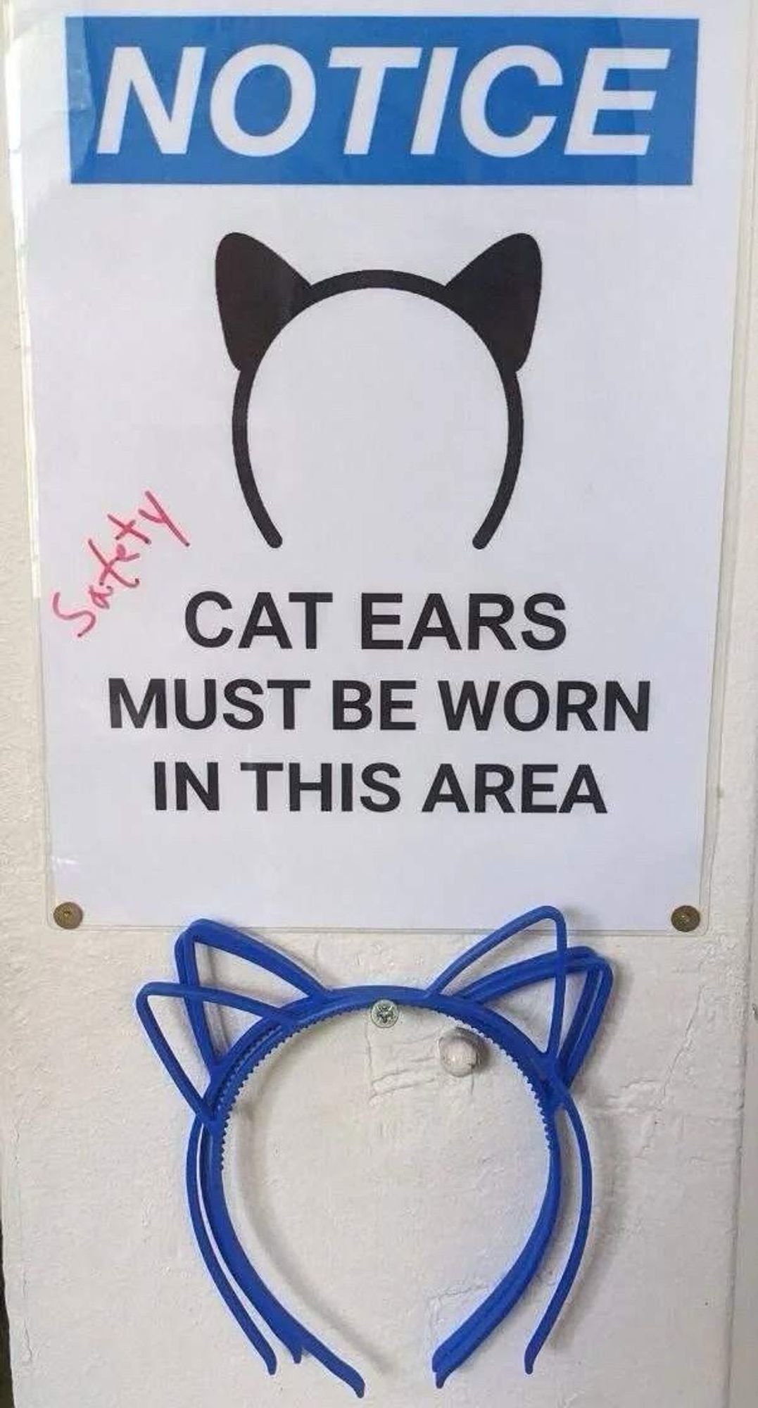 sign that says notice cat eats must be worn in this area, the word safety in red is handwritten on the side and there are plastic cat ear headbands hanging on a nail below