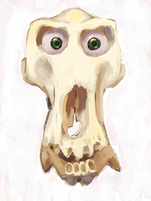 Painting of a chimpanzee skull with plastic eyes