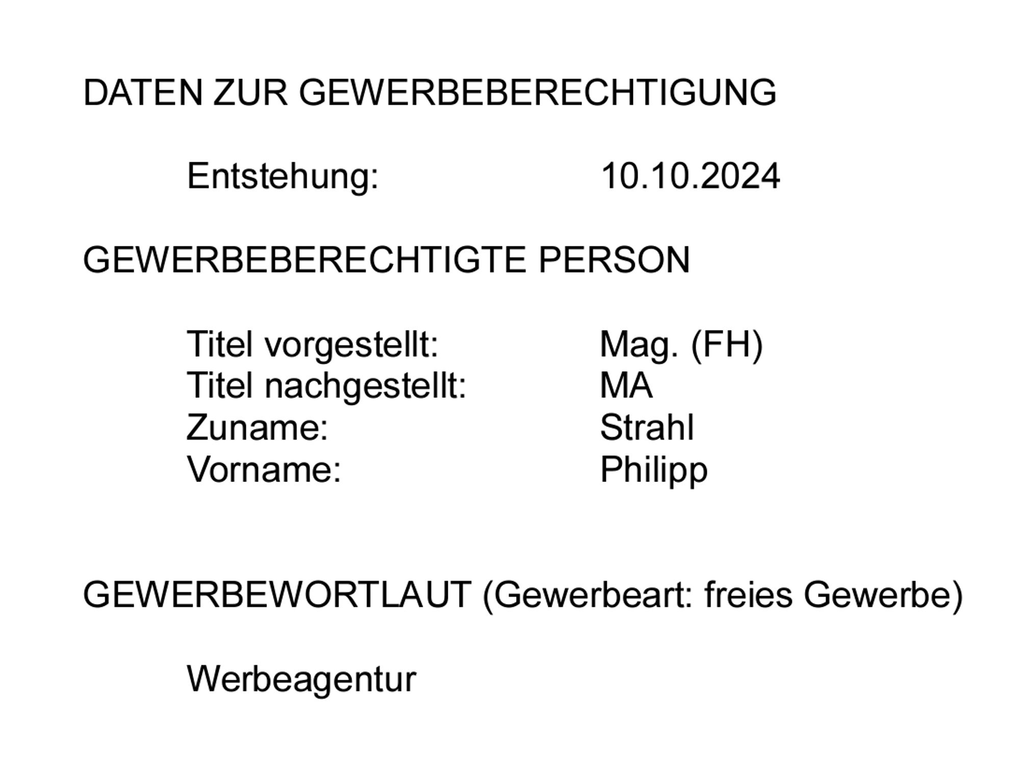 Snippet of my business license in German detailing the date (10.10.2024), my name and the business description, Werbeagentur (ad agency)