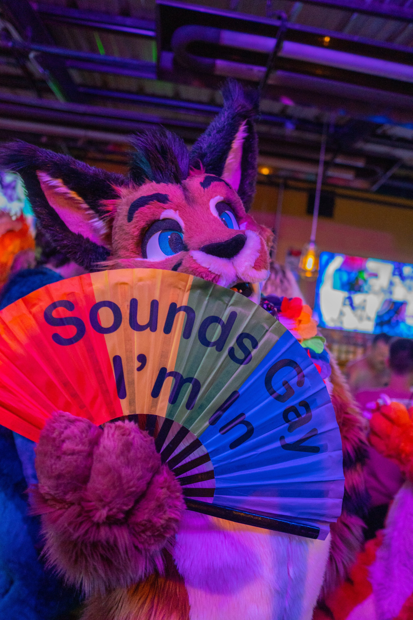 Caracal fursuiter at a bar with magenta lighting, wearing a rainbow lei and holding a fan in his hand that says "Sounds Gay, I'm In."