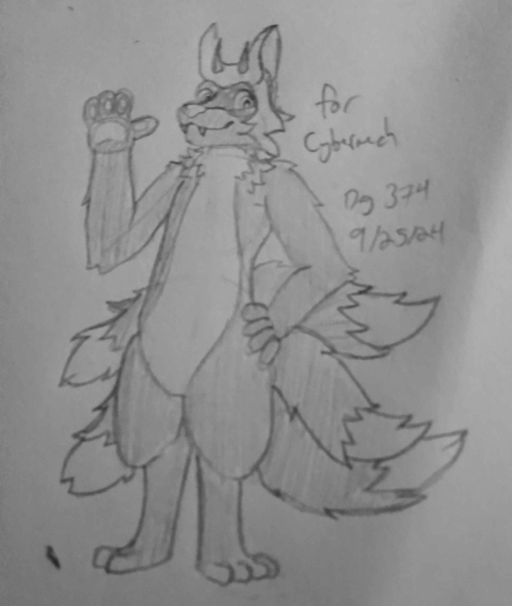 a sketch of an anthro fox with five tails