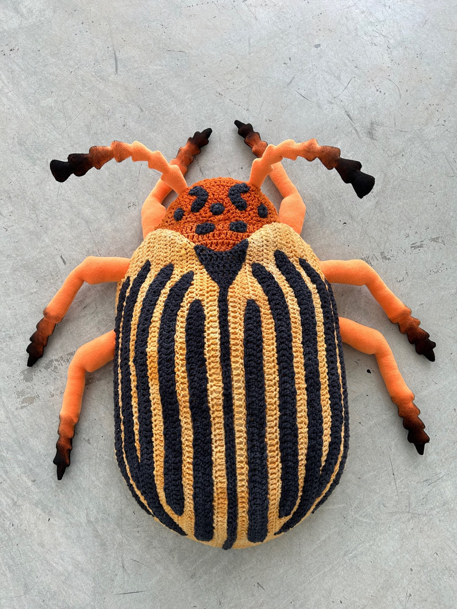 giant crochet colorado potato beetle view from top