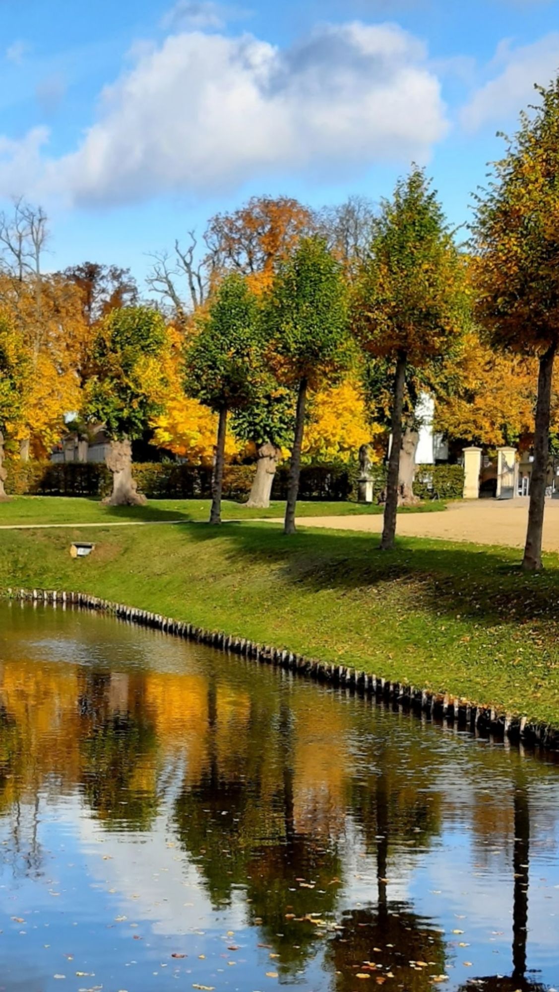 Herbsttag mit Sonne und Wolken. Ein angelegter Weiher in einem Park. Eine Gruppe Bäume spiegelt sich im Wasser. Ihr Laub ist dabei sich zu verwandeln.