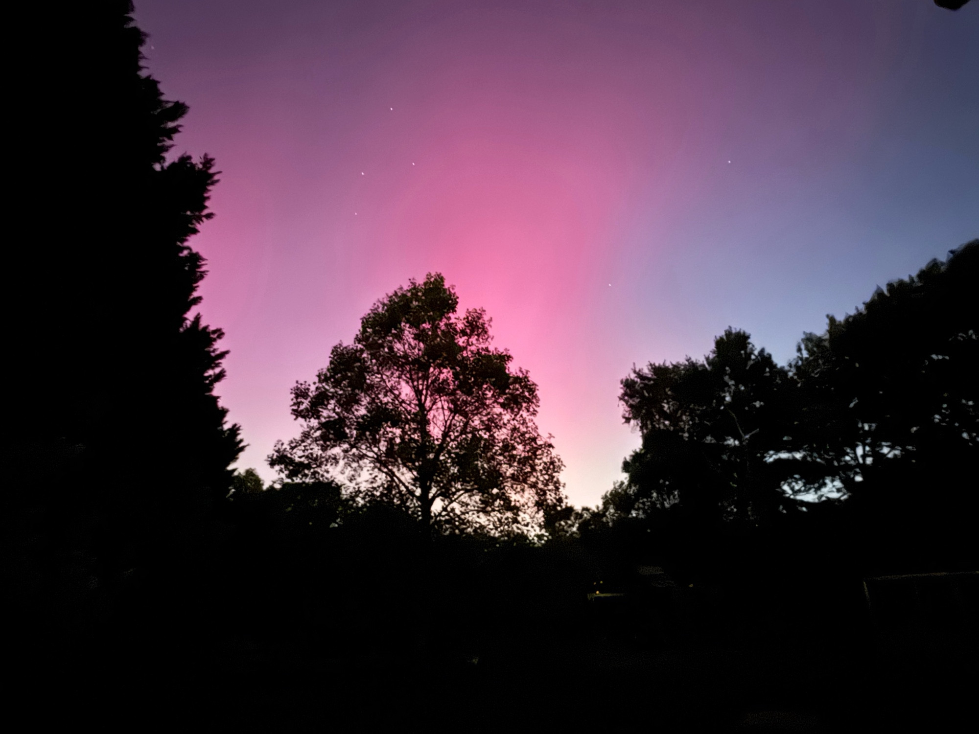 A pink and purple and green and blue sky with silhouetted trees in the foreground.