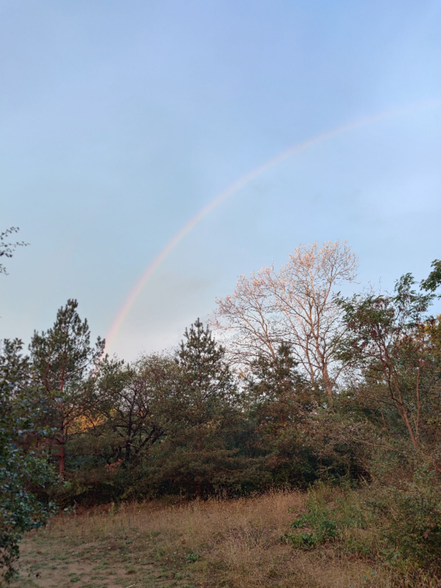 ein Regenbogen vor einem grau blauen Himmel 