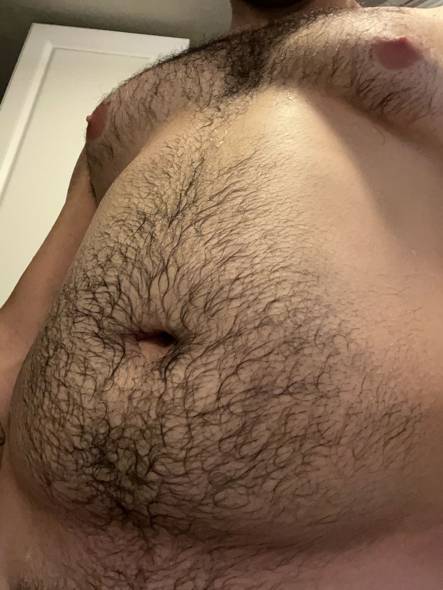 A close up of a nude, wet guy out of the shower. His furry chest and furry belly are the focus