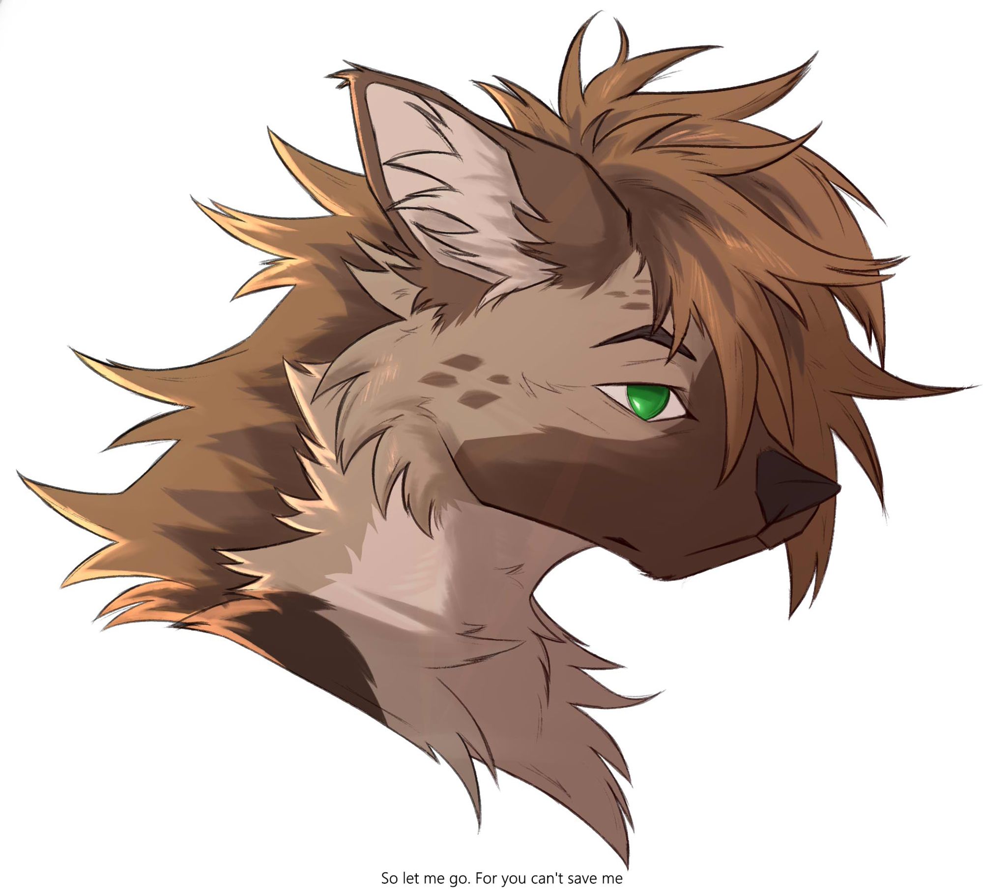 Rendered headshot of my hyena character.
Quotes: Their dark robes - Quite Hollers