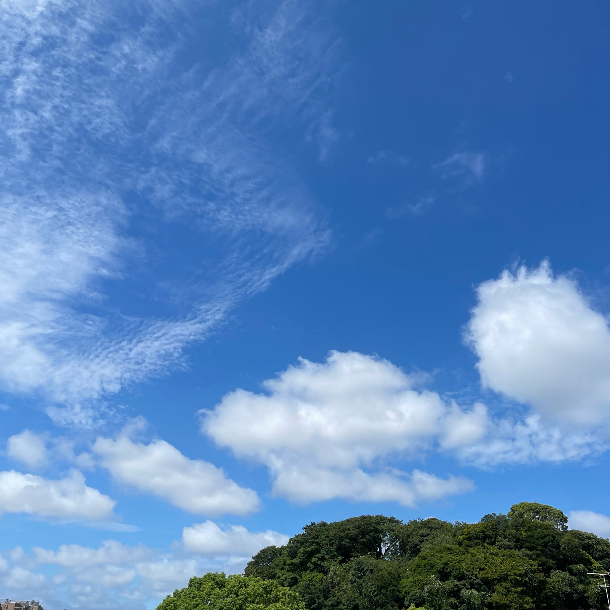 今日空。青空に白い雲がポツポツと。下の方には緑の木々。