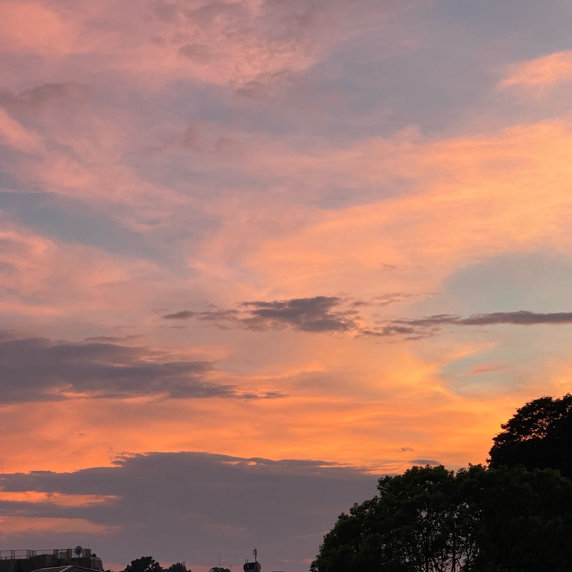 7月29日の夕焼け空。オレンジ色でキレイでした。