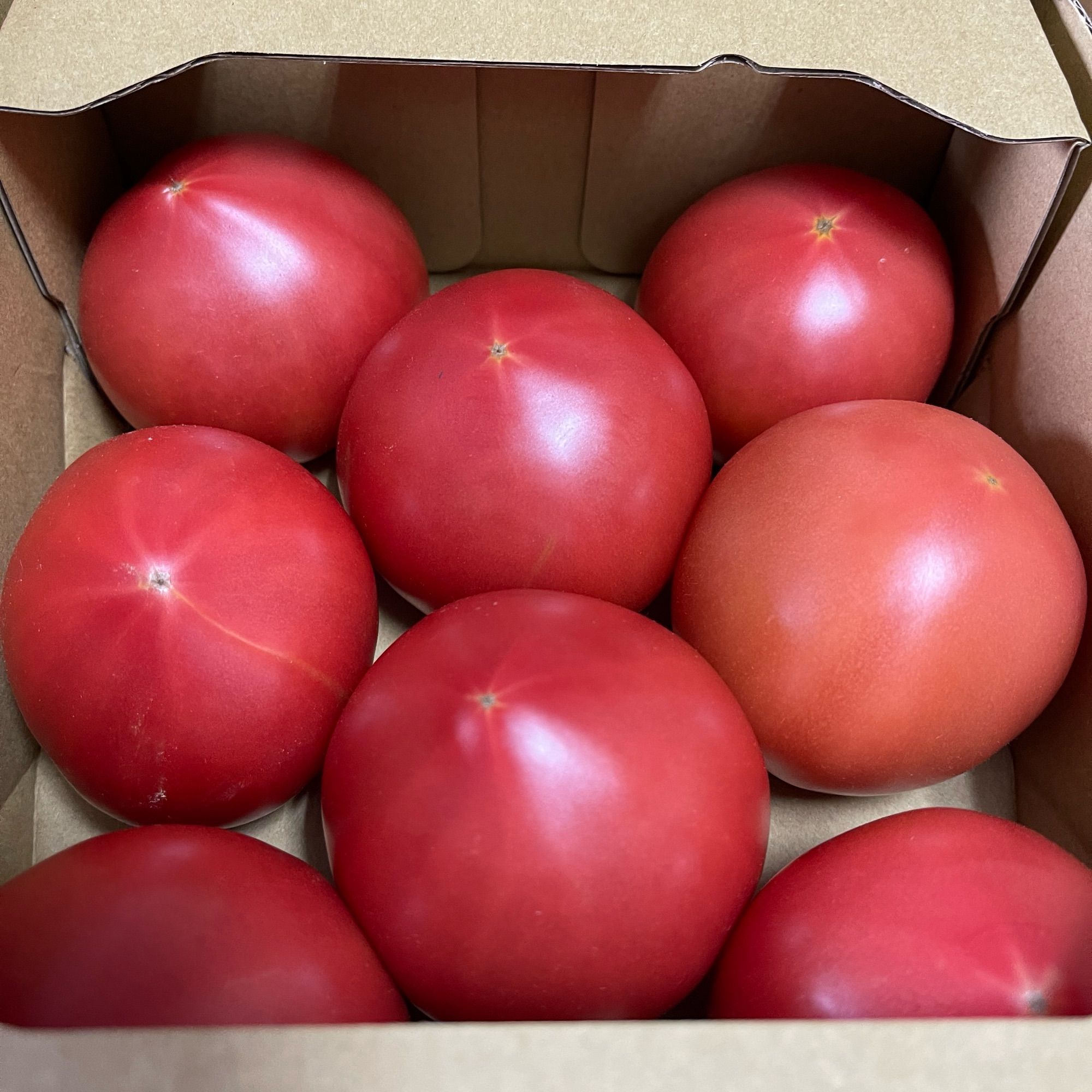 新鮮な箱入りトマト買ってきた🍅8個入り398円