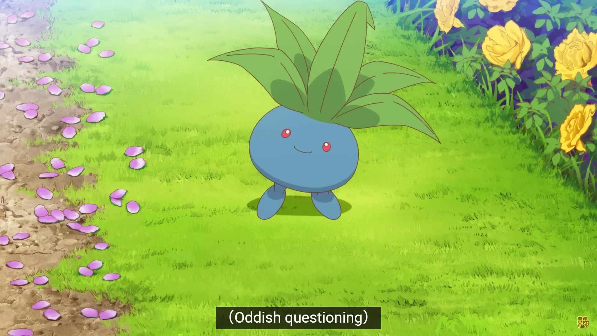 A shot of Oddish from the recent Poketoon short, with them tilting their head slightly on a field of grass. The caption in the image reads "(Oddish questioning)".