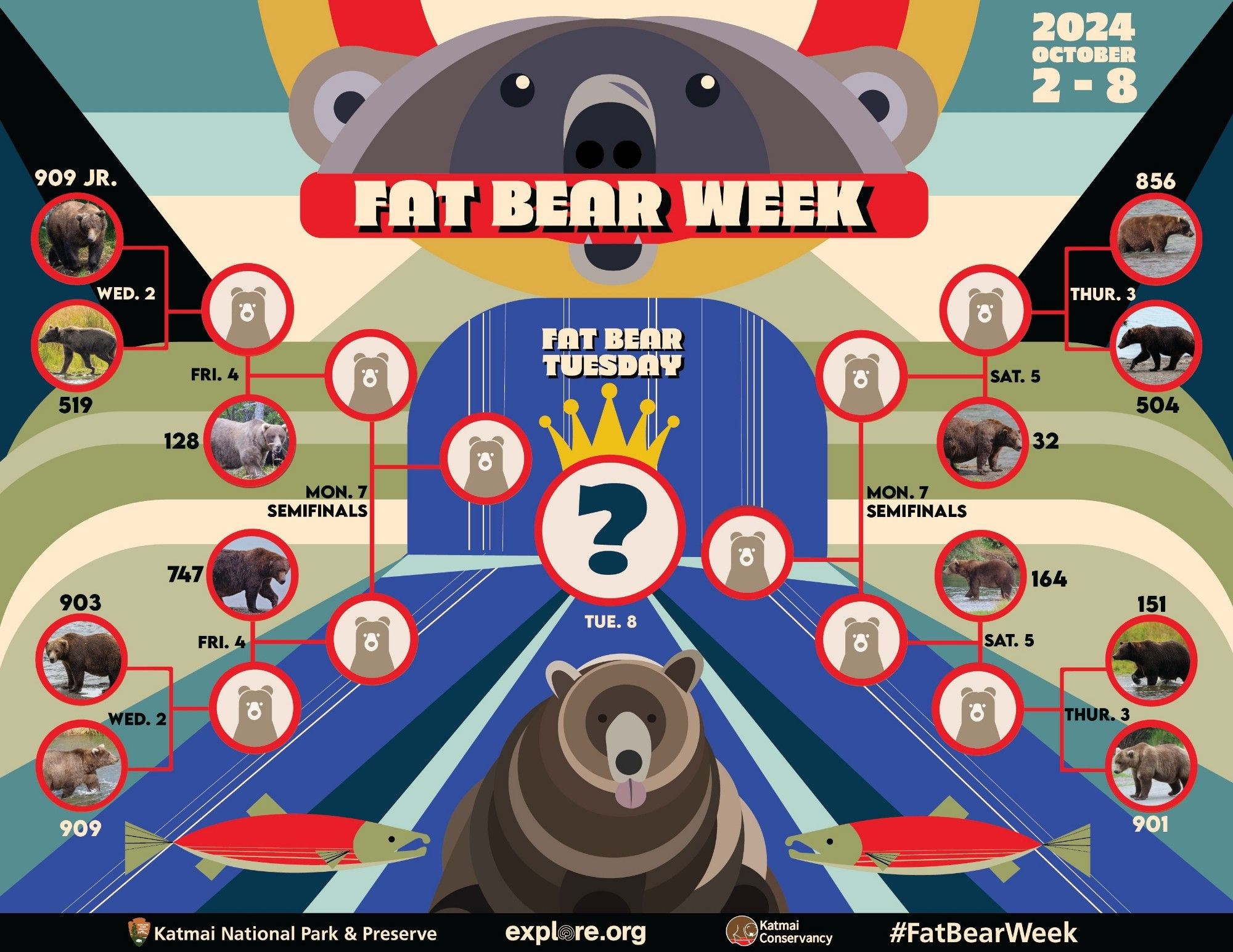 A Fat Bear Week bracket. Starting October 2nd, the match ups will be 909 junior versus 519, 903 versus 909, 856 vs 504, and 151 versus 901.