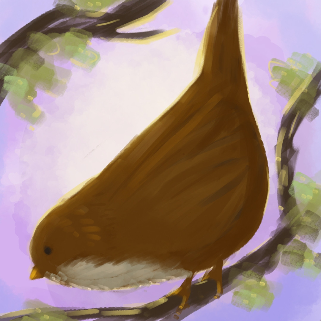 Side view of a fat brown bird standing on a stick 