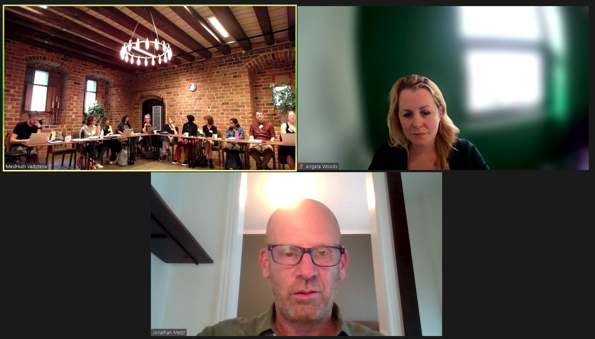 A screen grab of participations in a zoom meeting