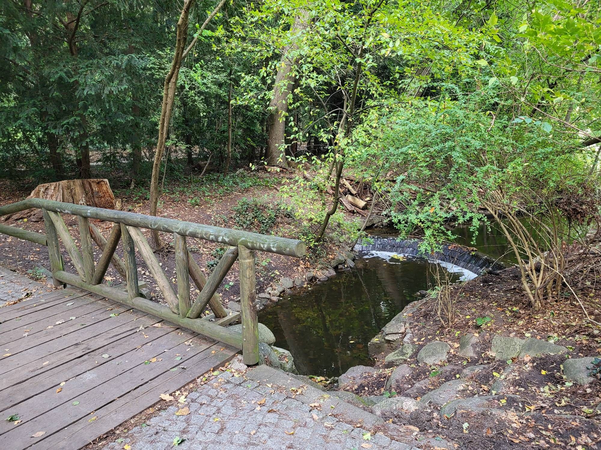 Brücke im Steinbergpark in der Nähe des Wasserfalls