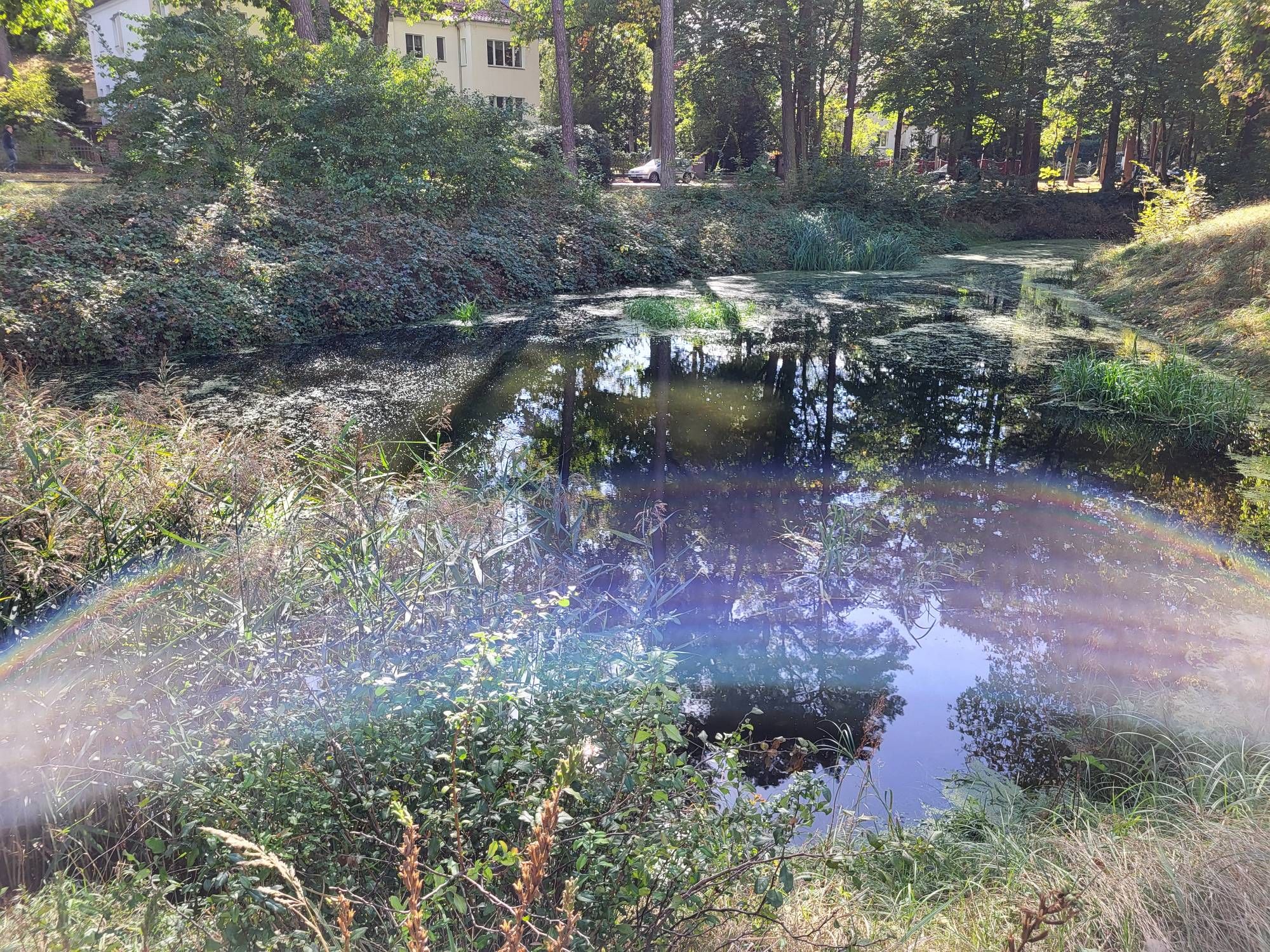 Pond near Edelhofdamm in Berlin Frohnau, with a fancy light reflection on the water