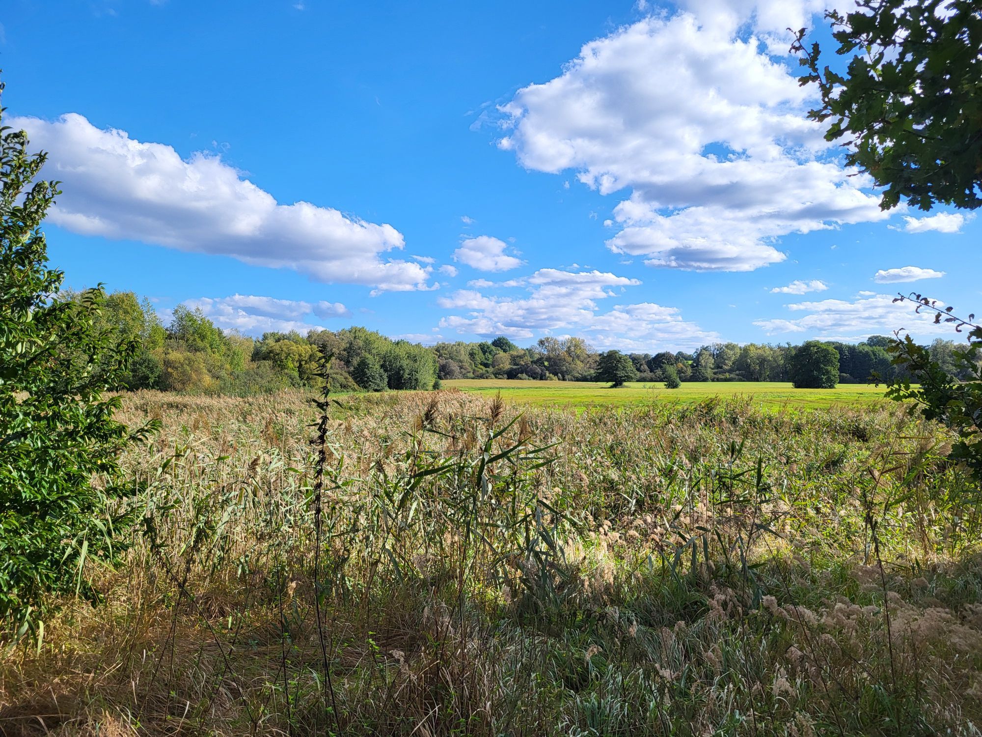 View over the Tegeler Fließ near Lübars