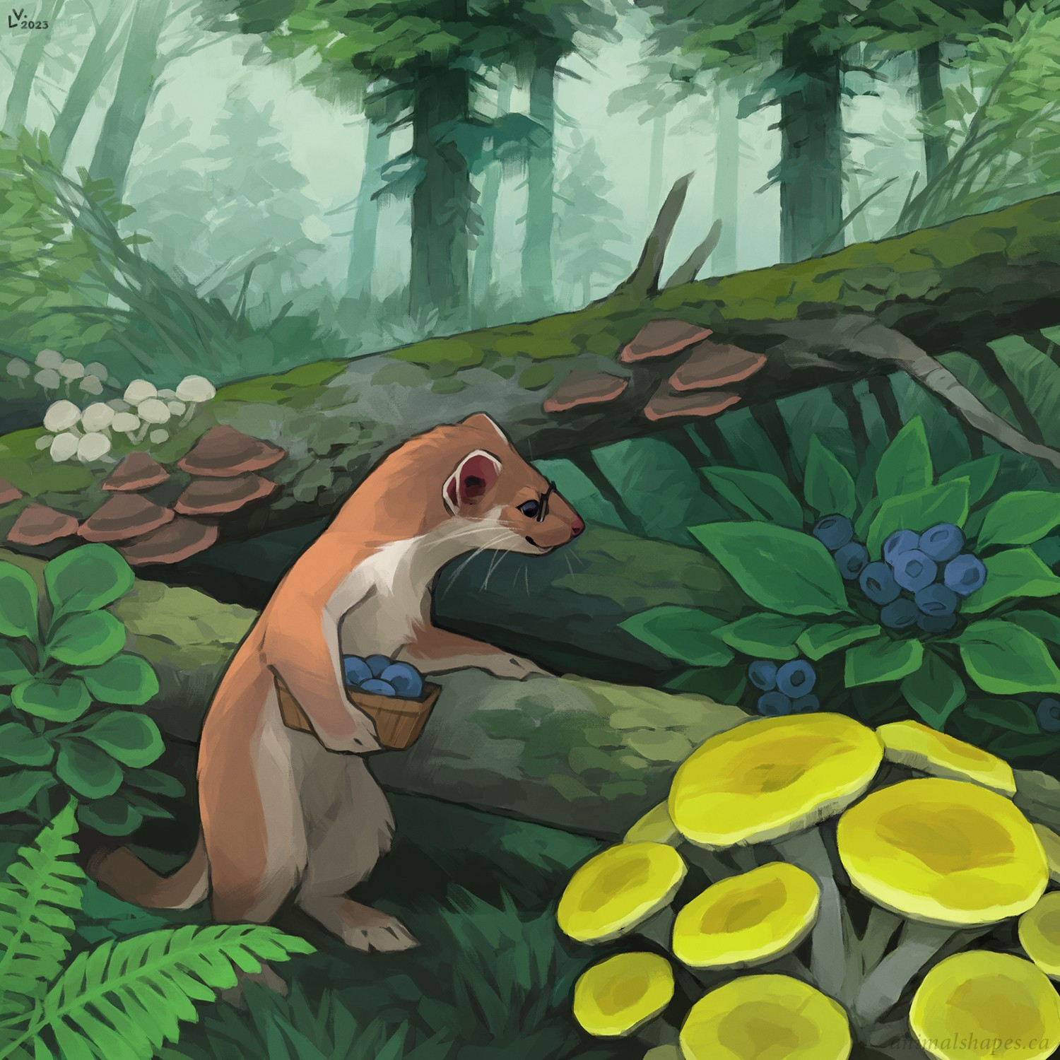 A stoat in the deep woods, gathering snacks. The yellow mushrooms probably aren't edible but they do help balance the composition. I went wild with the scenery in this one. Digital (Photoshop CC), 2023.