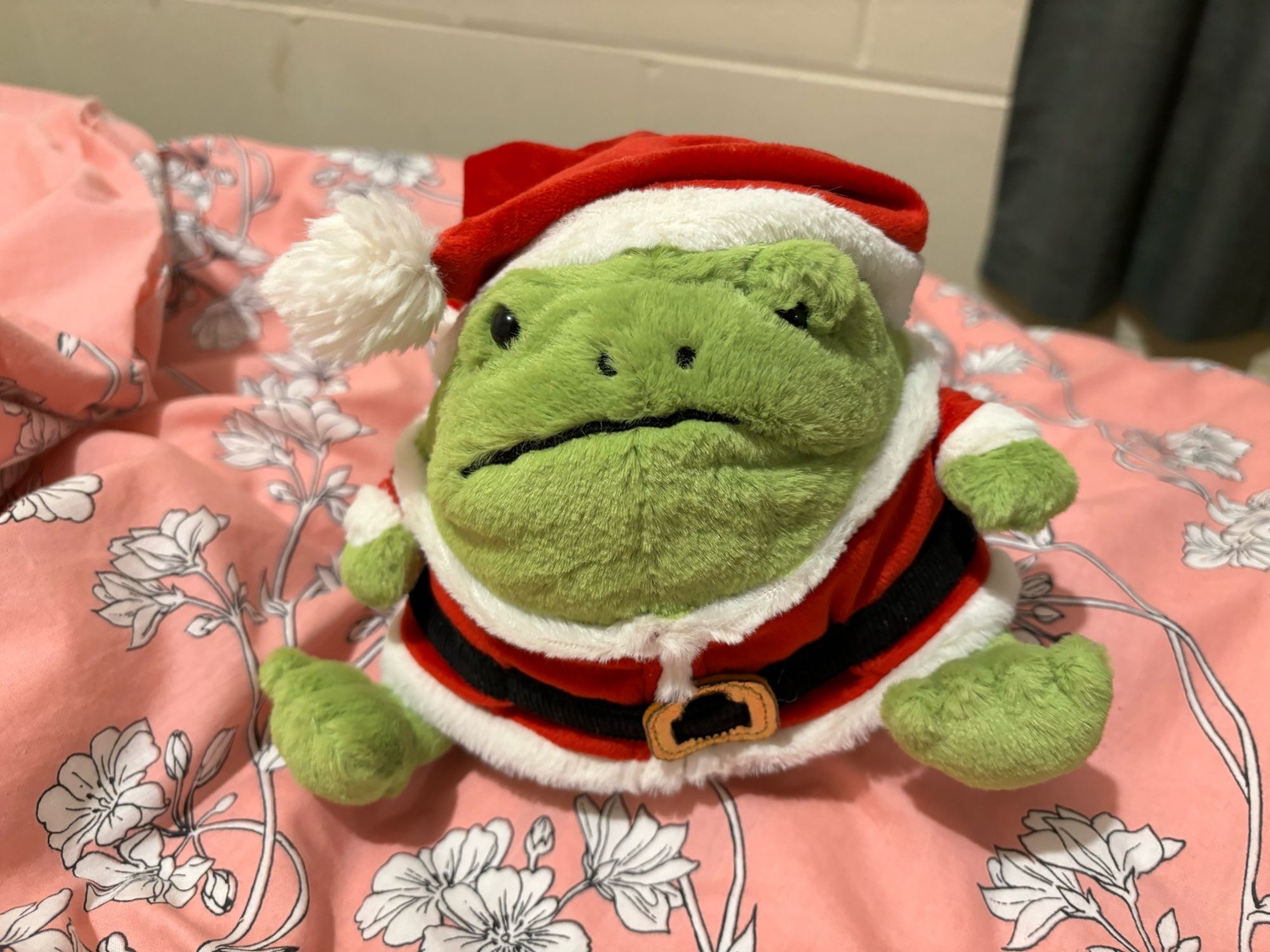 The Jellycat Santa Ricky Rain Frog